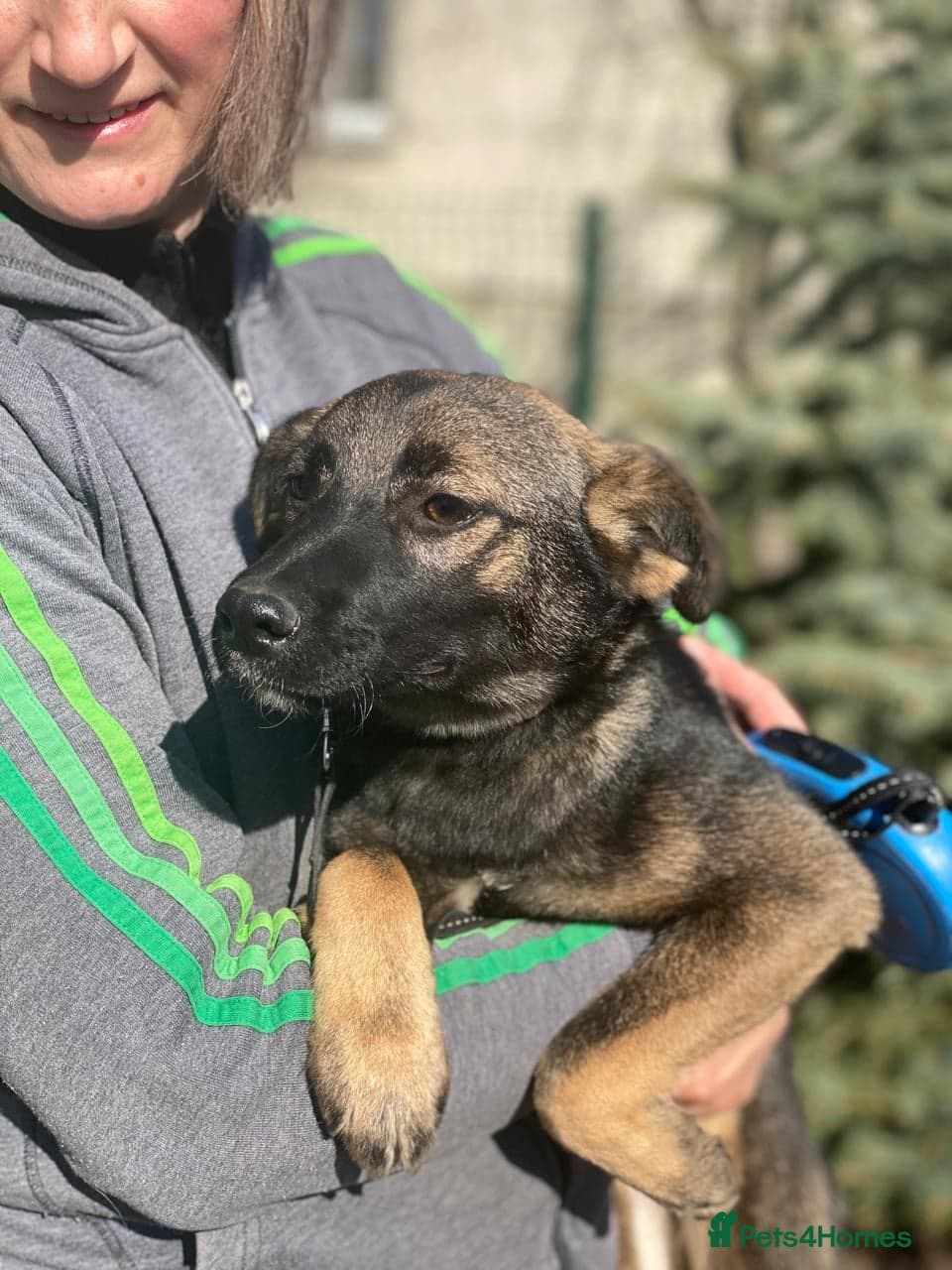 οΈπΆ kuba photo 3