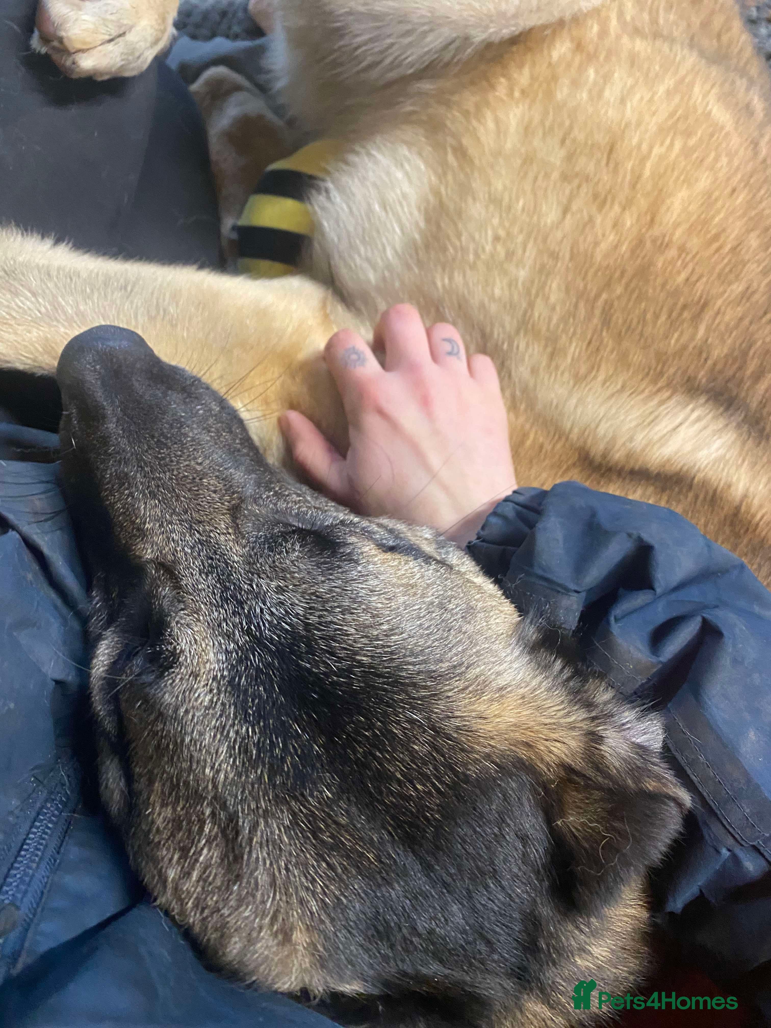 Meet Vera, currently residing in Cheshire photo 9