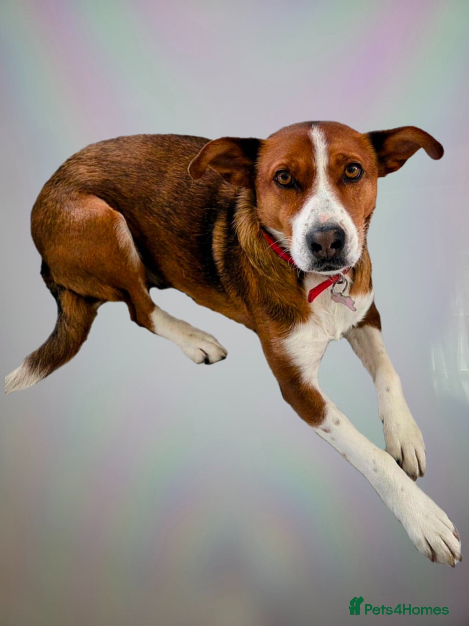 Affectionate Milli photo 11