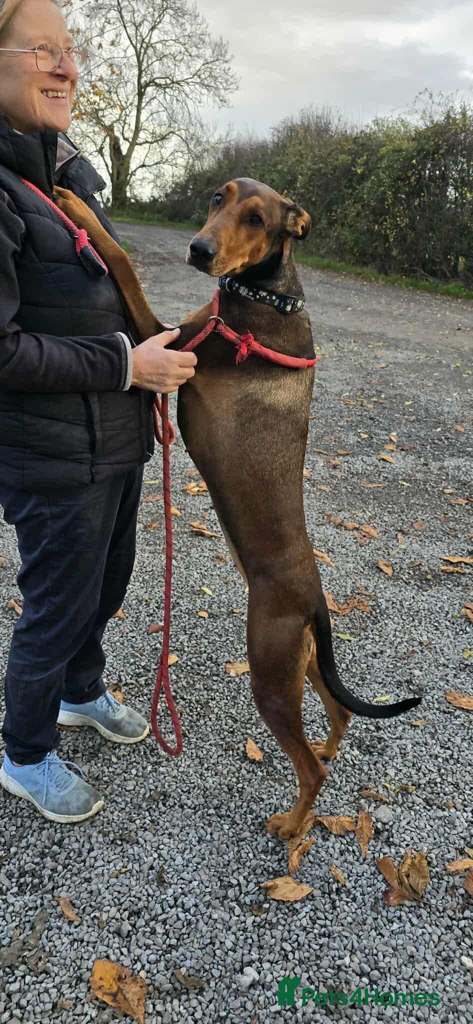 BONNIE π Playful, Loving Girl photo 11