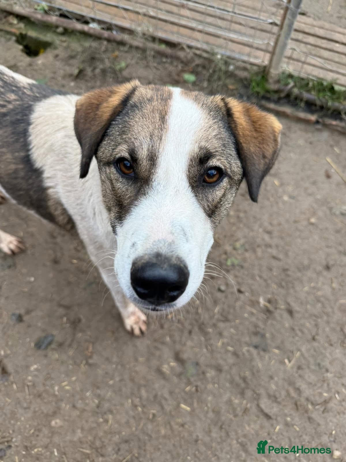 Could you be the family Mercy photo 7