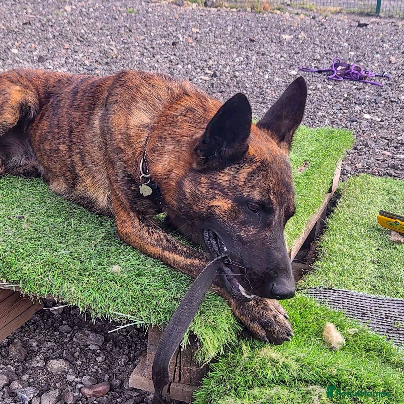 Beautiful buzz photo 9