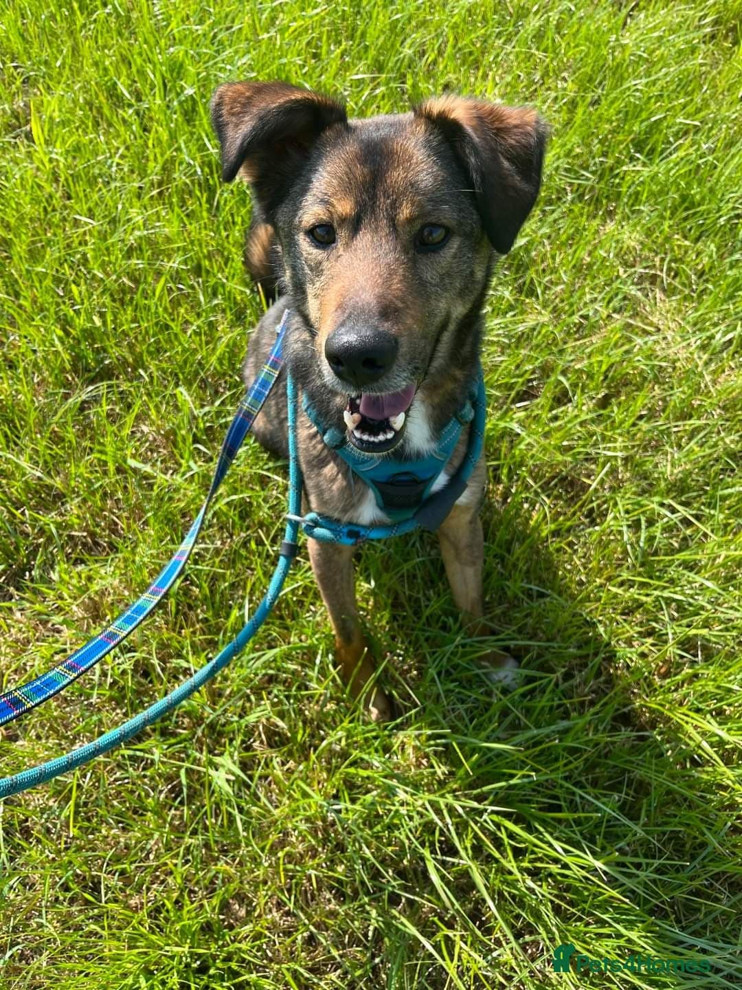 Meet Jake, currently residing in Cheshire photo 5