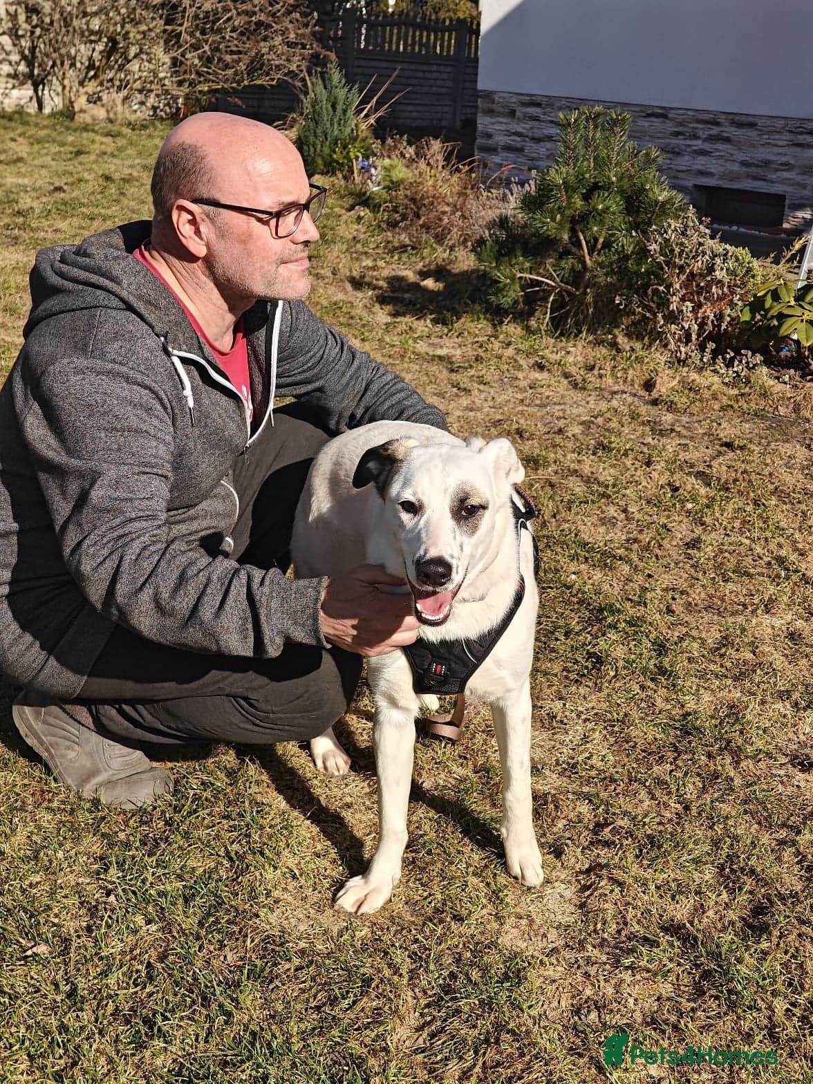 ️PLIAMKA❤️She photo 12