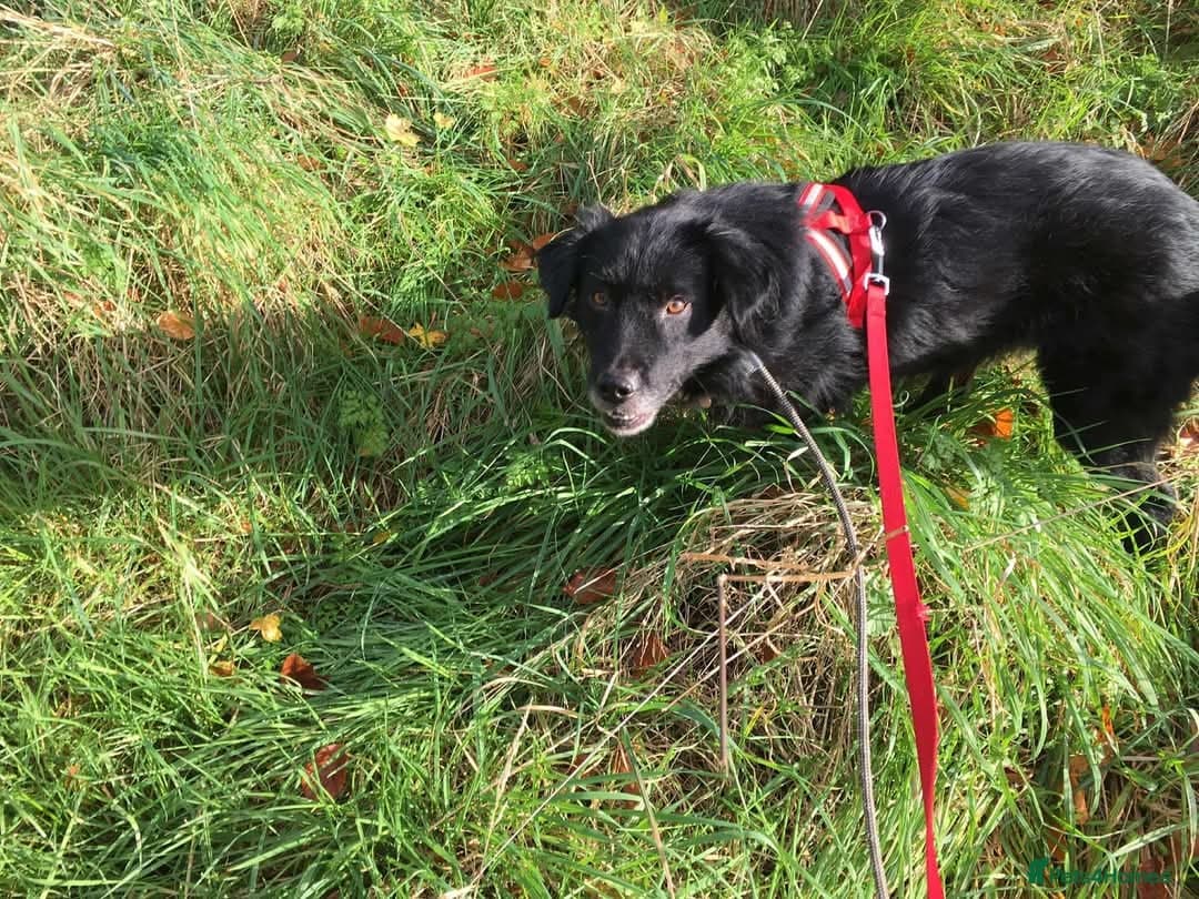 Meet Hera, currently residing in Middlesex photo 4