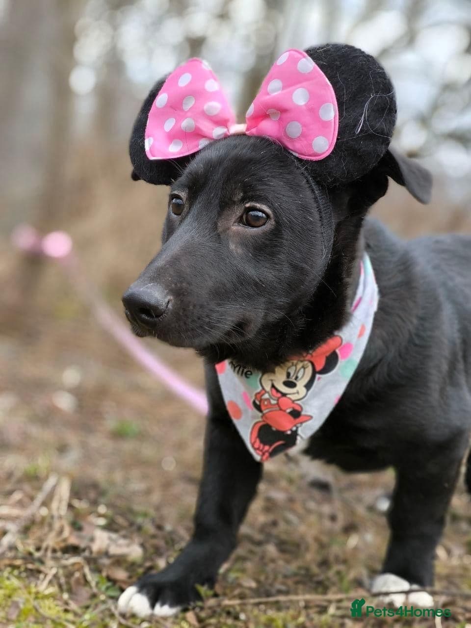 οΈπΆ masha photo 2