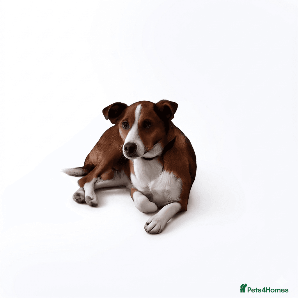 Affectionate Milli photo 10