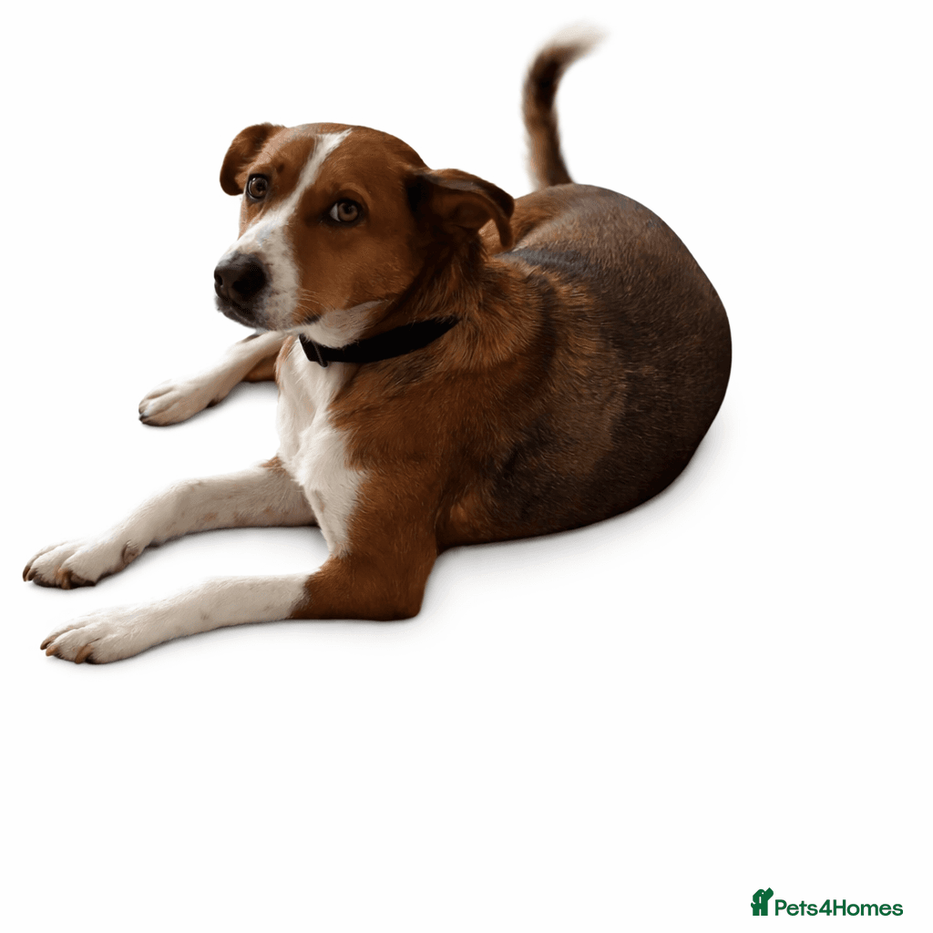 Affectionate Milli photo 9