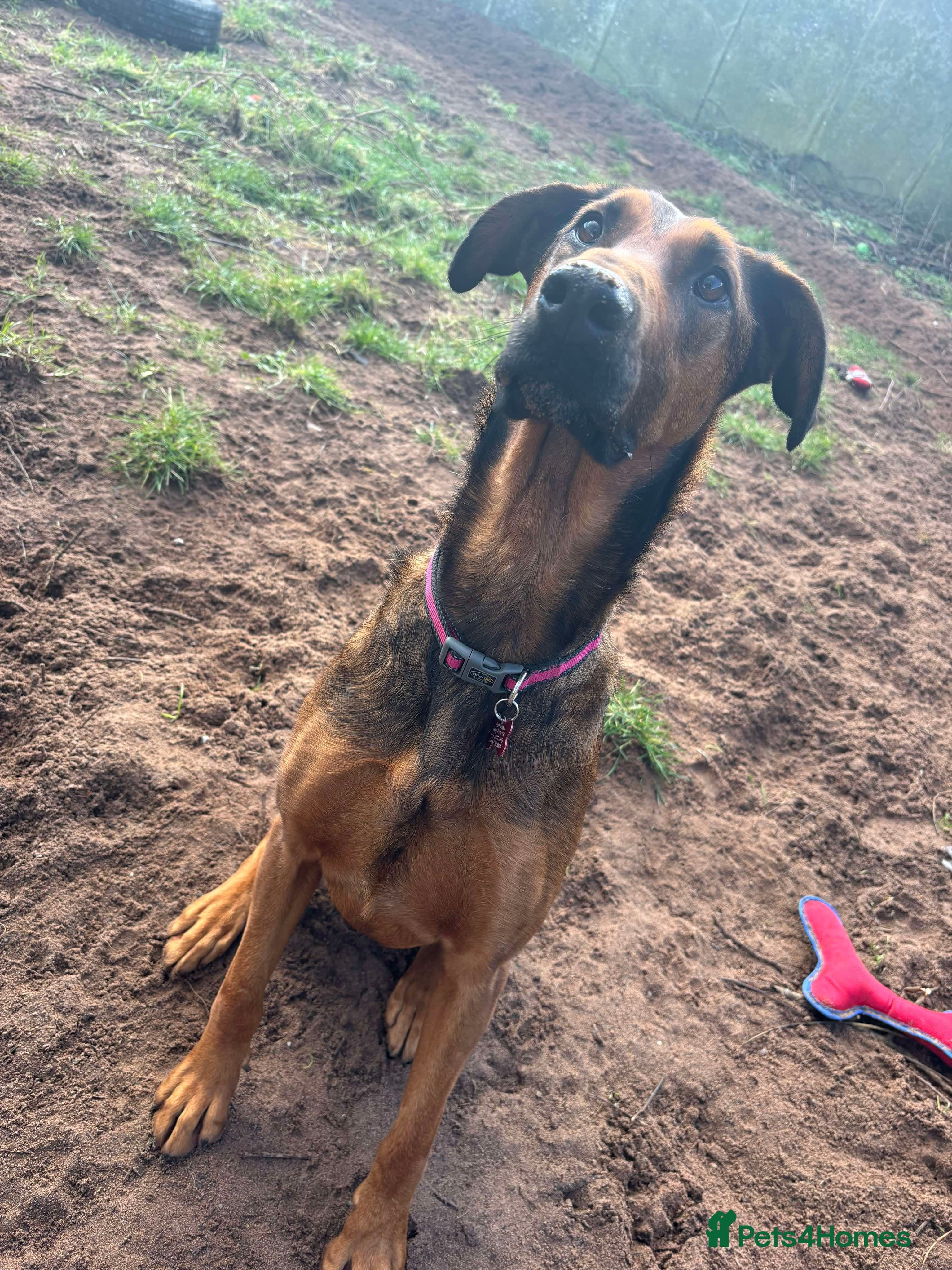 Meet Carrie,currently residing in Cheshire photo 7