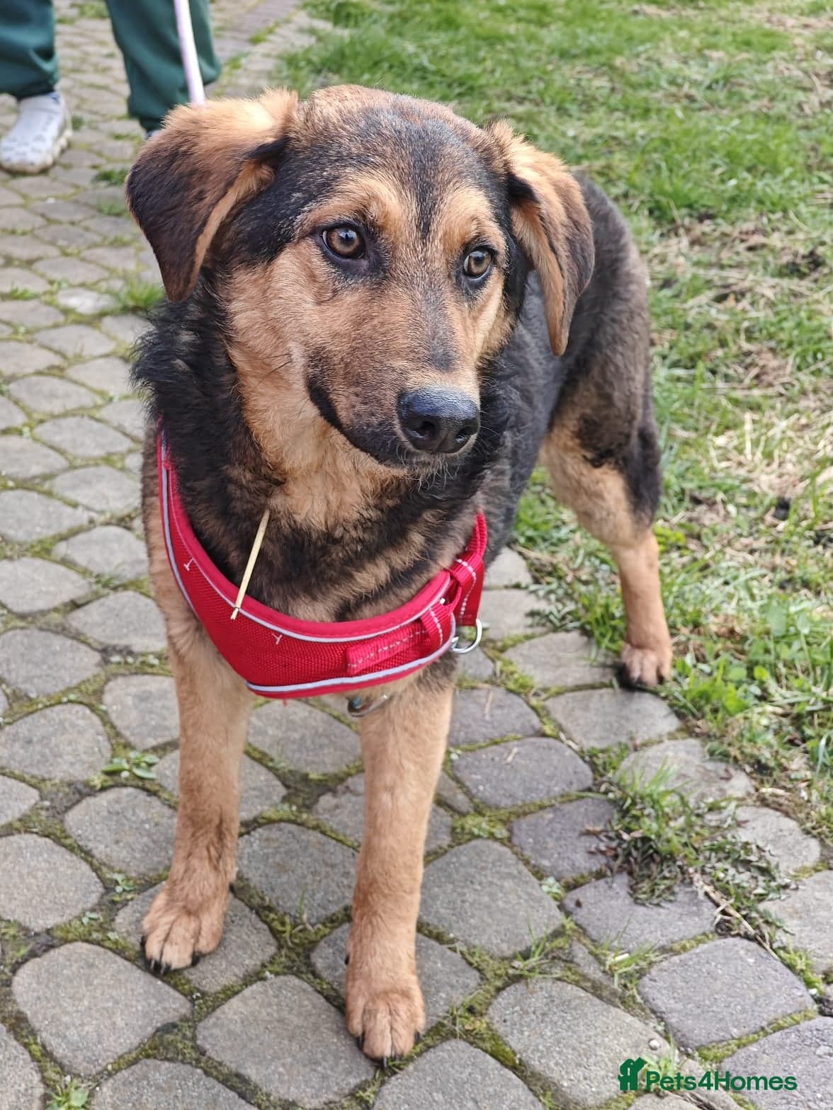 οΈπΆ yasia photo 19