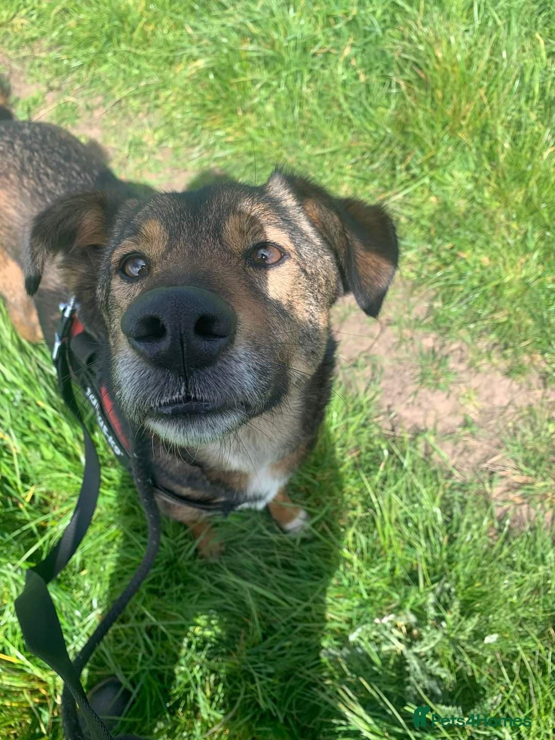 Meet Jake, currently residing in Cheshire photo 21