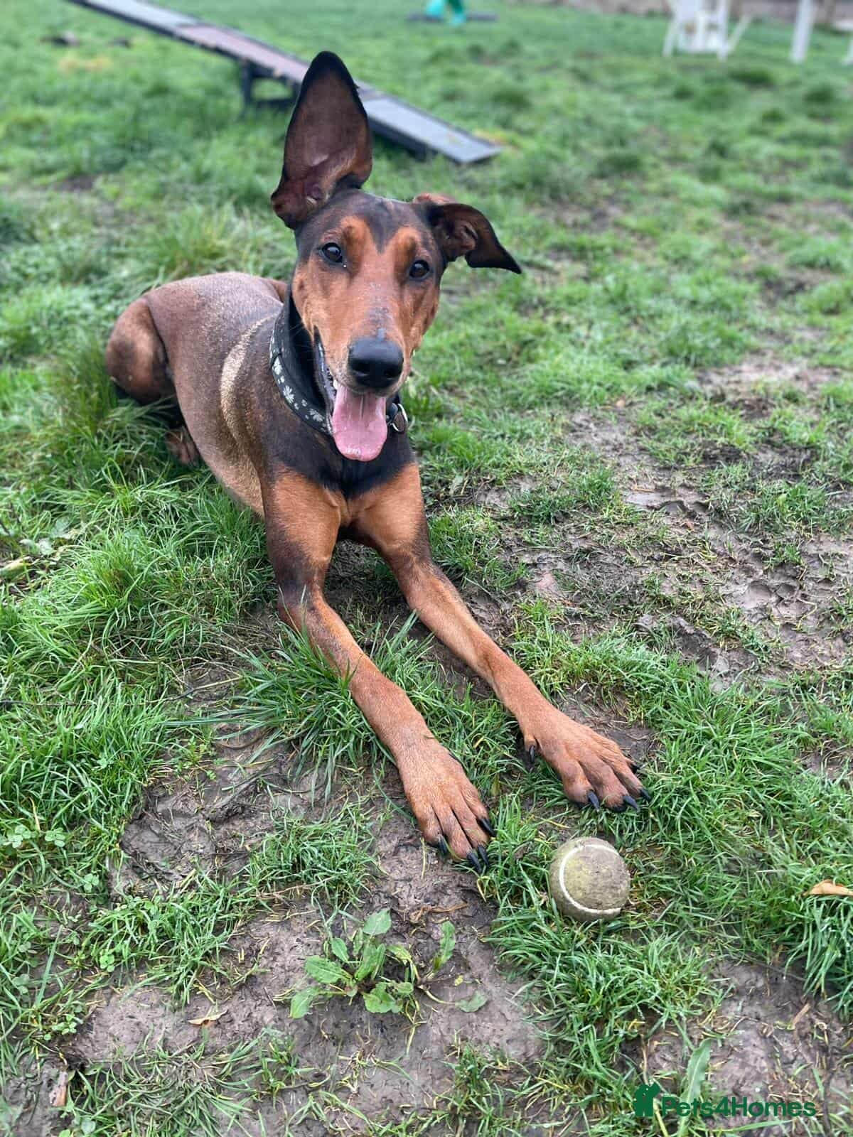 BONNIE π Playful, Loving Girl photo 6