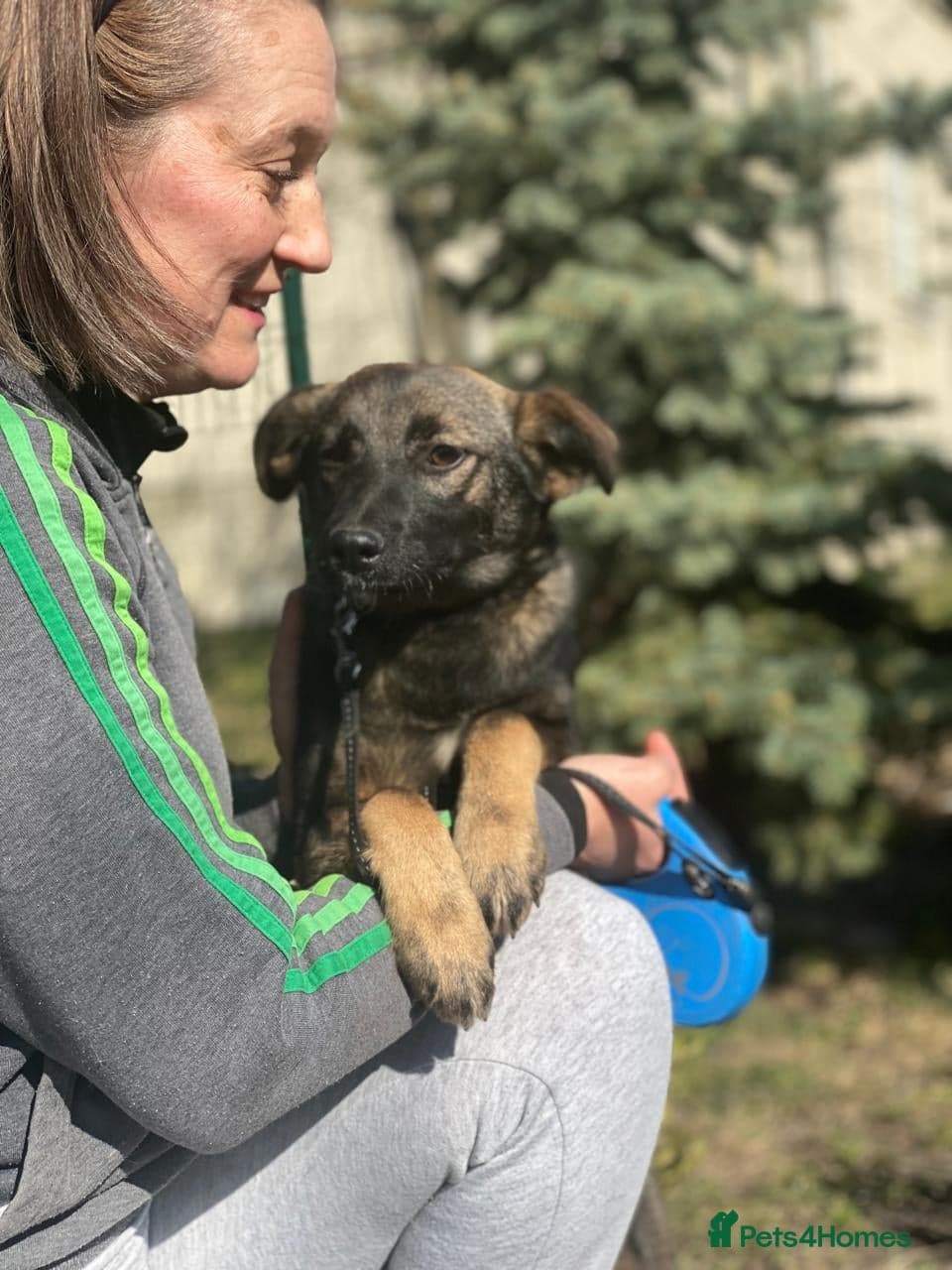 οΈπΆ kuba photo 8