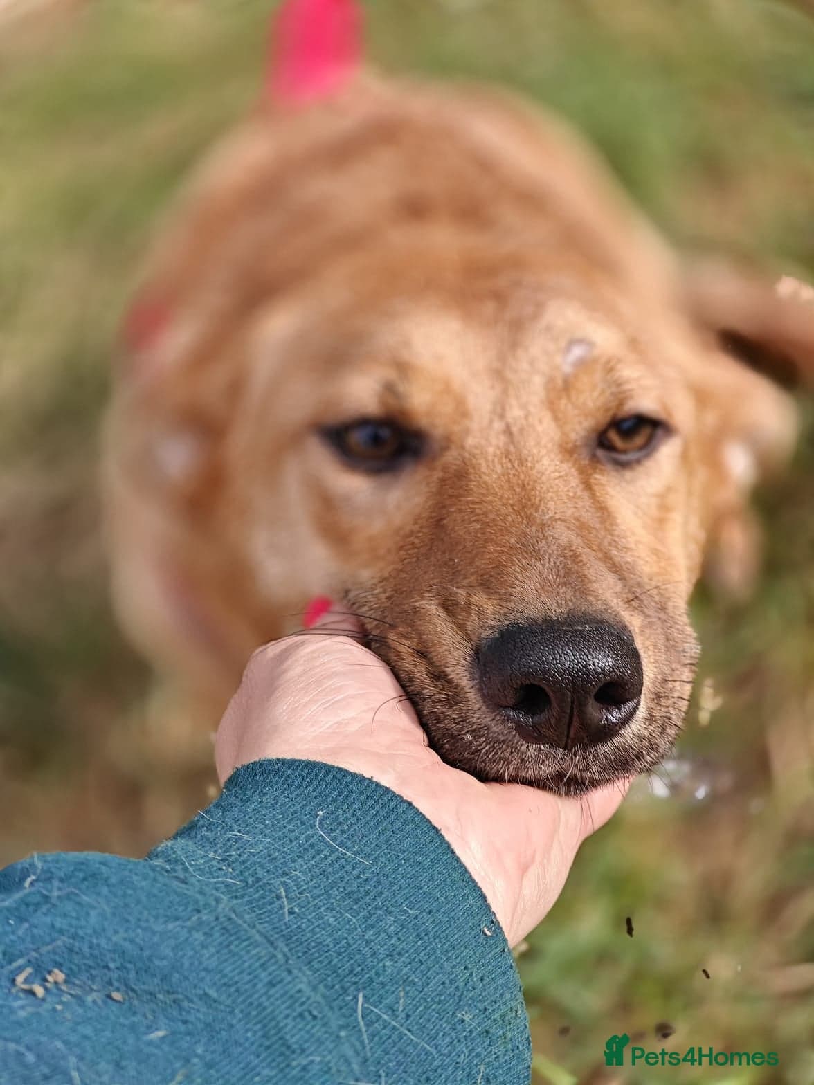 ๏ธ๐ถ yara photo 2