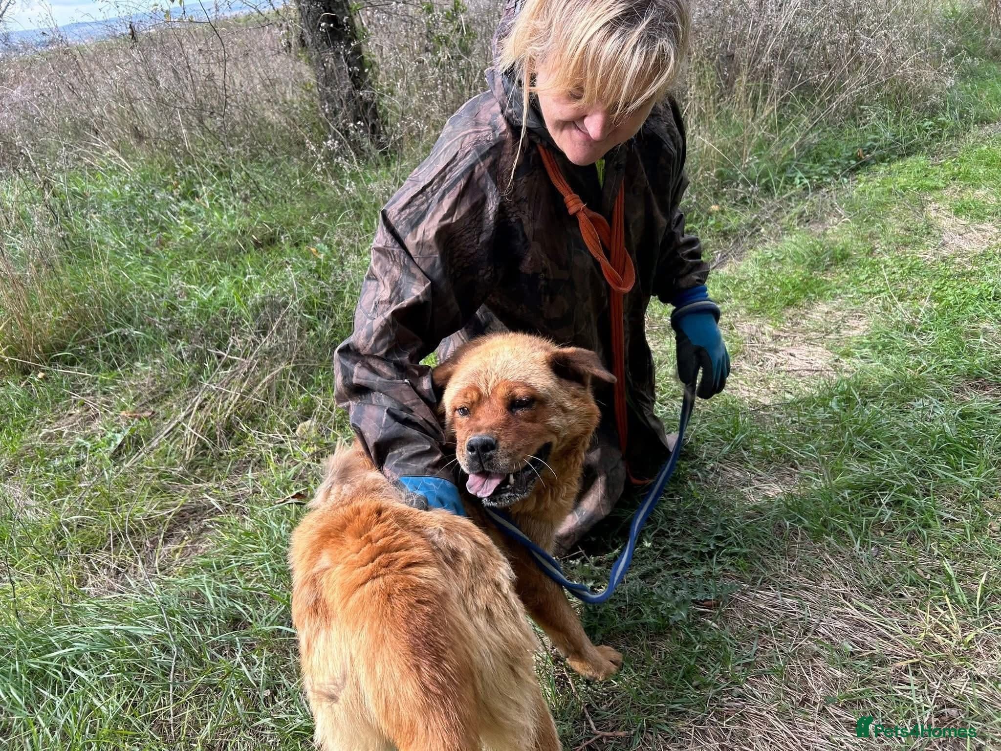 Princess - Norwich Norfolk photo 7