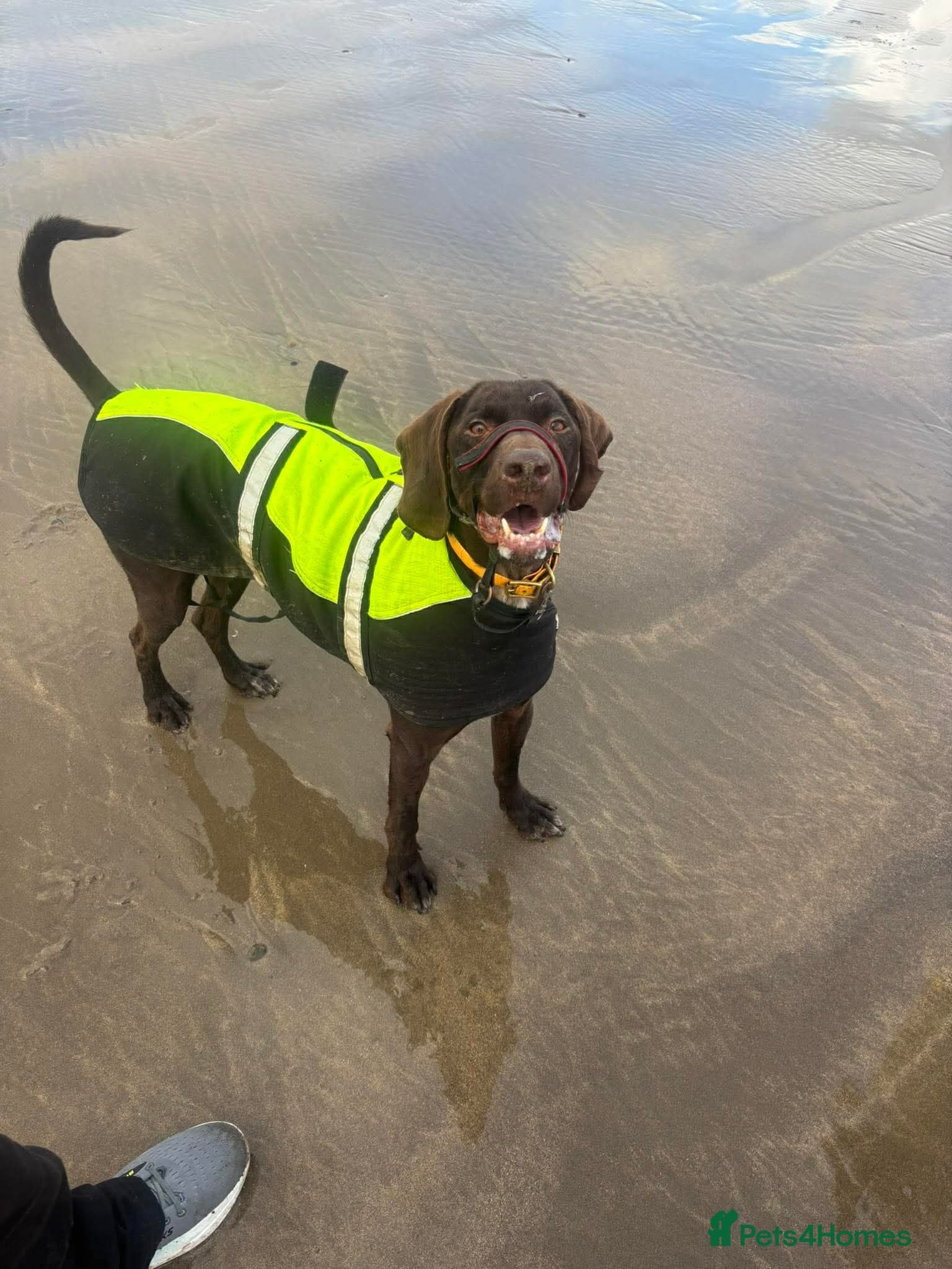 ️ meet wilson photo 7