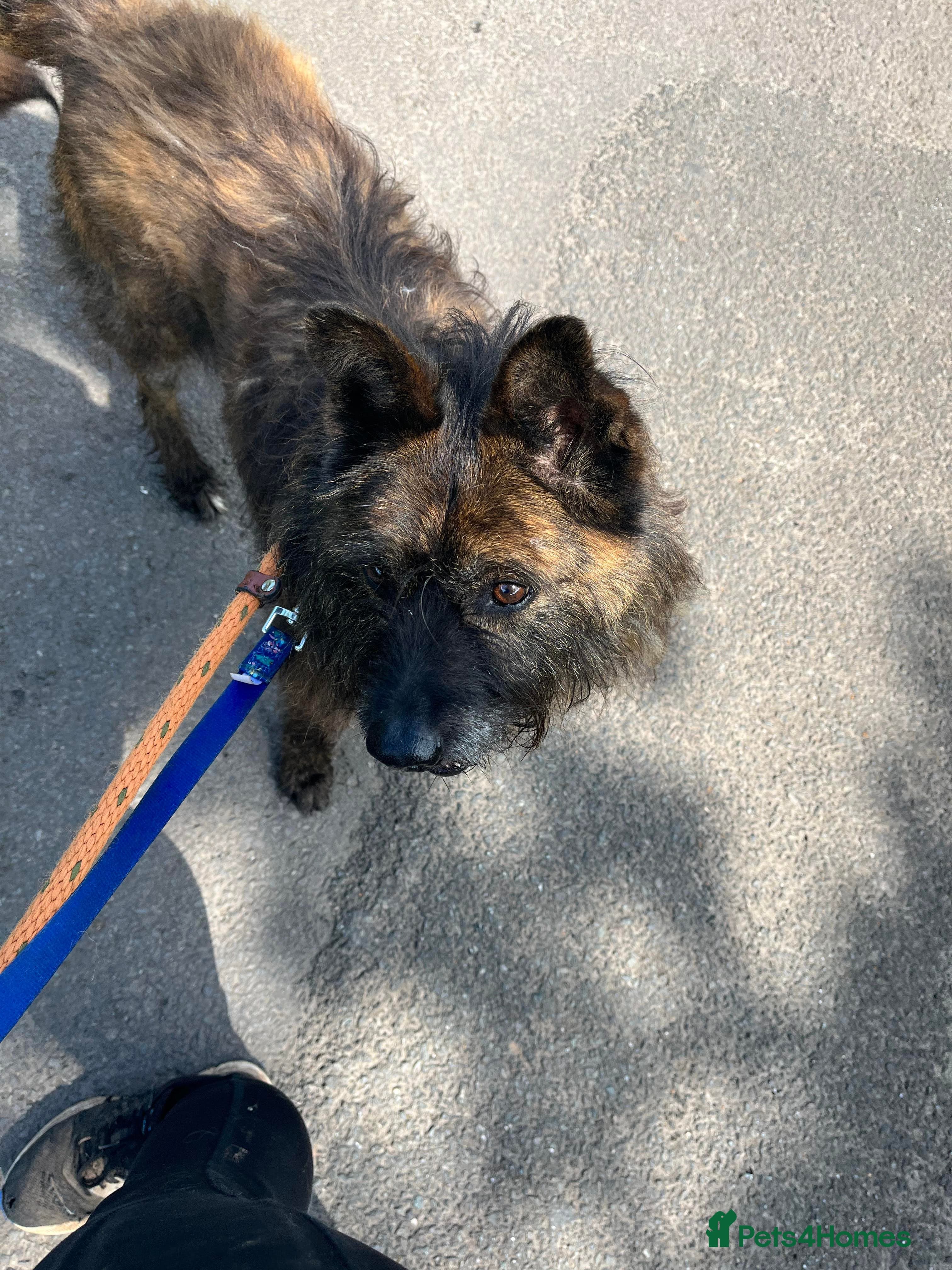 Meet Aran, currently residing in Cheshire photo 12