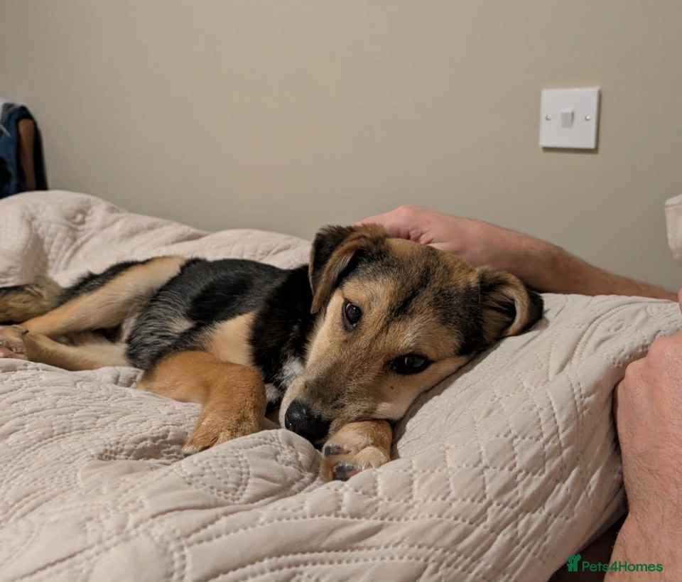 Mikka says “is it me you’re photo 6