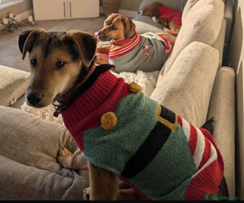 Mikka says “is it me you’re photo 4