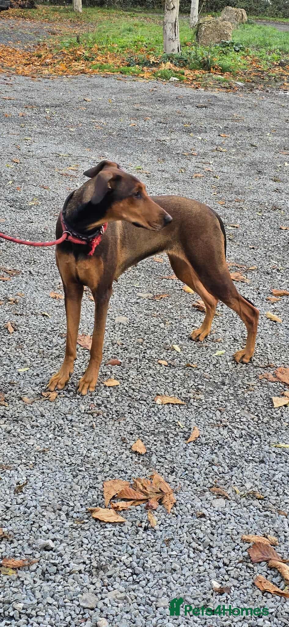 BONNIE π Playful, Loving Girl photo 12