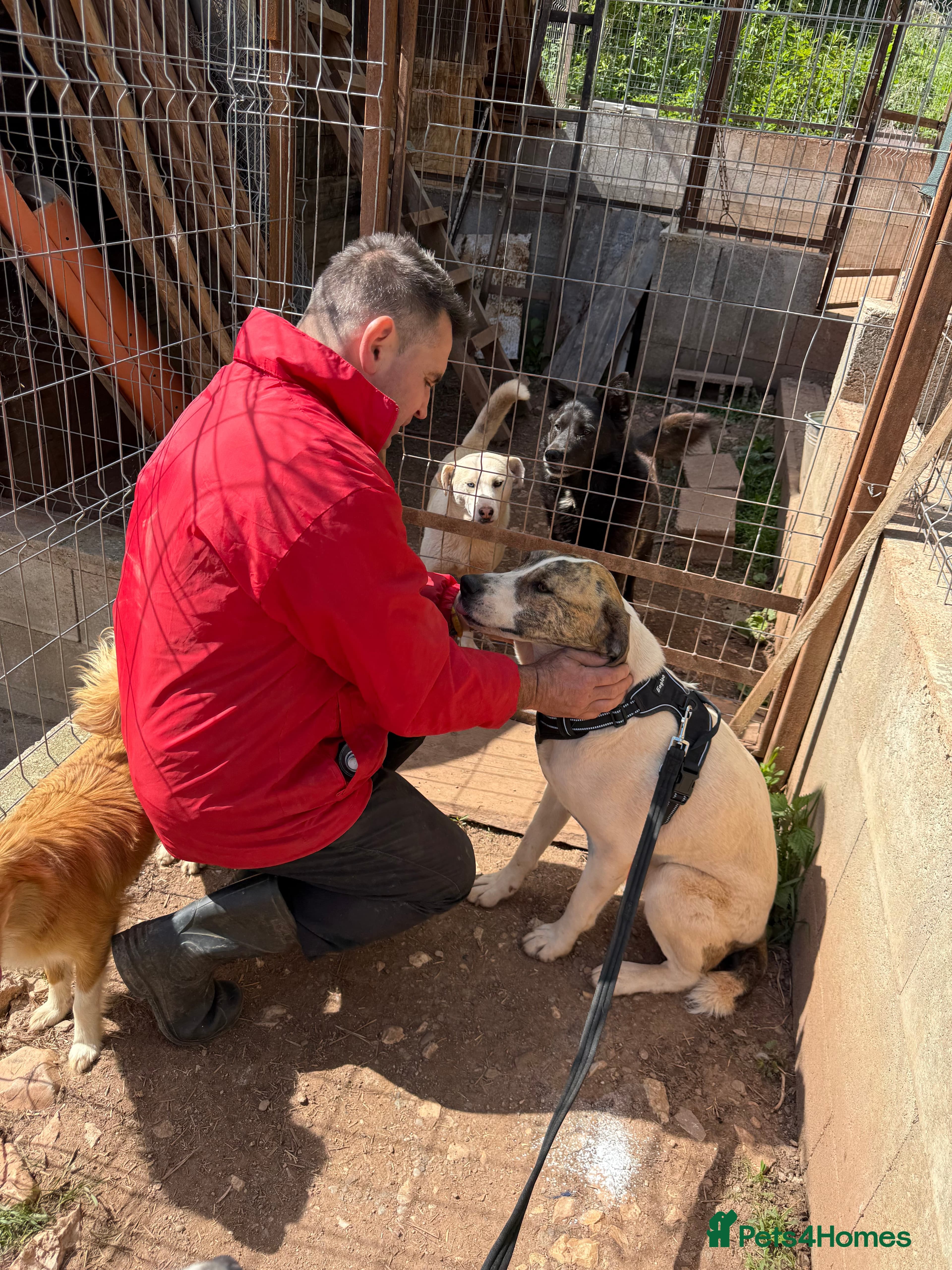 Jasmine π©· photo 4