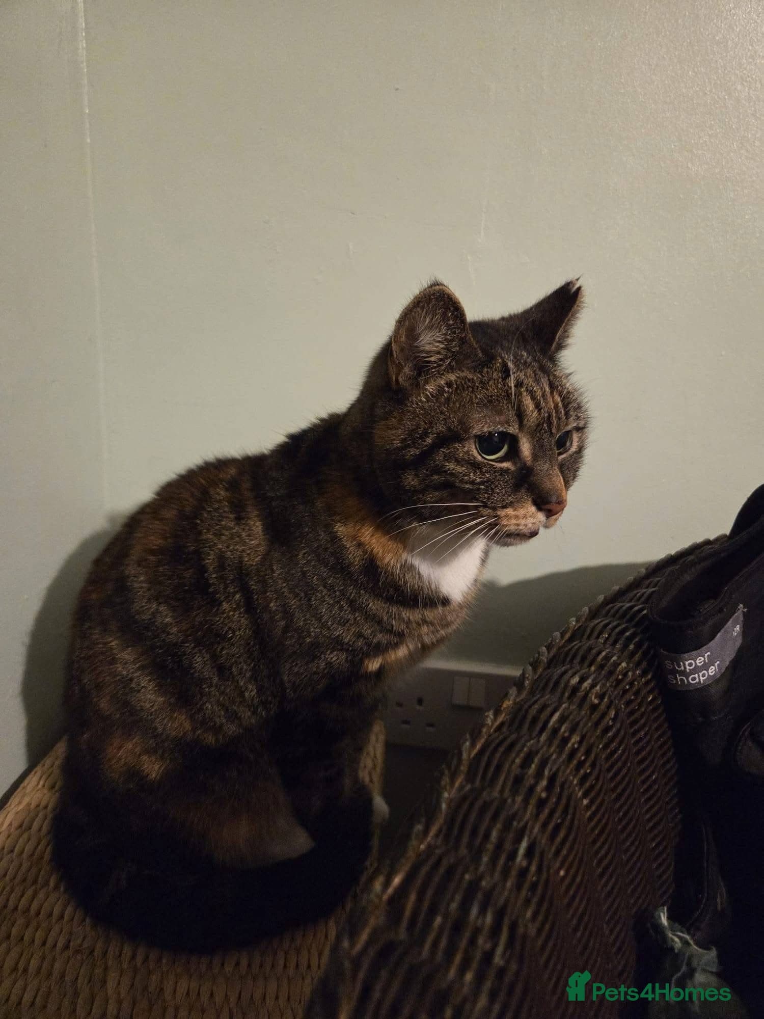 οΈπ± cleo photo 4