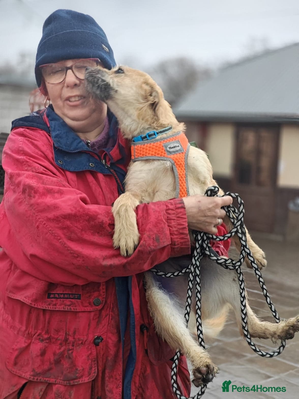 οΈπΆ bekki photo 12