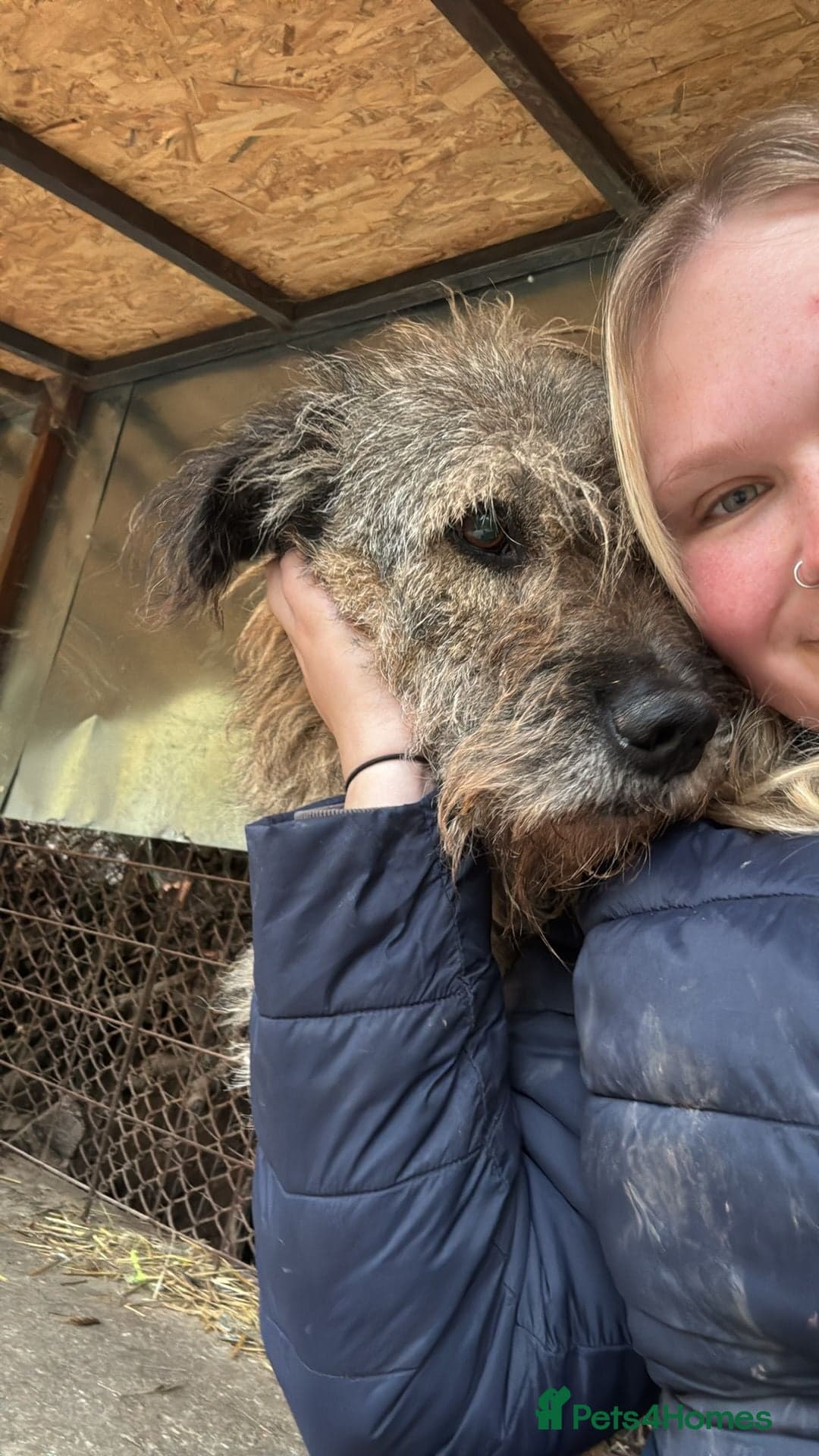 year old Fionn photo 10