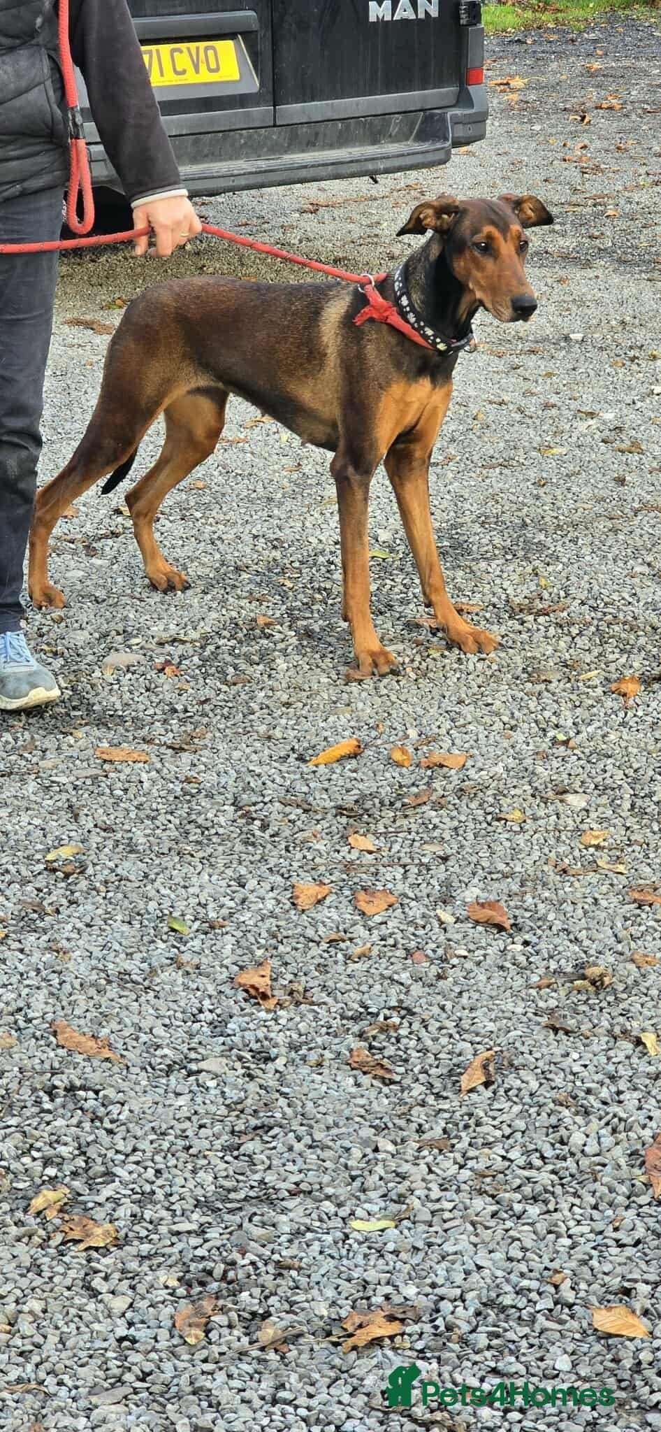 BONNIE π Playful, Loving Girl photo 9