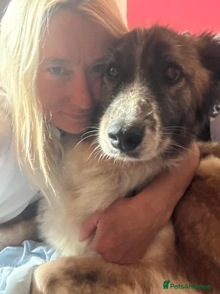 Hilda - Norwich Norfolk photo 11