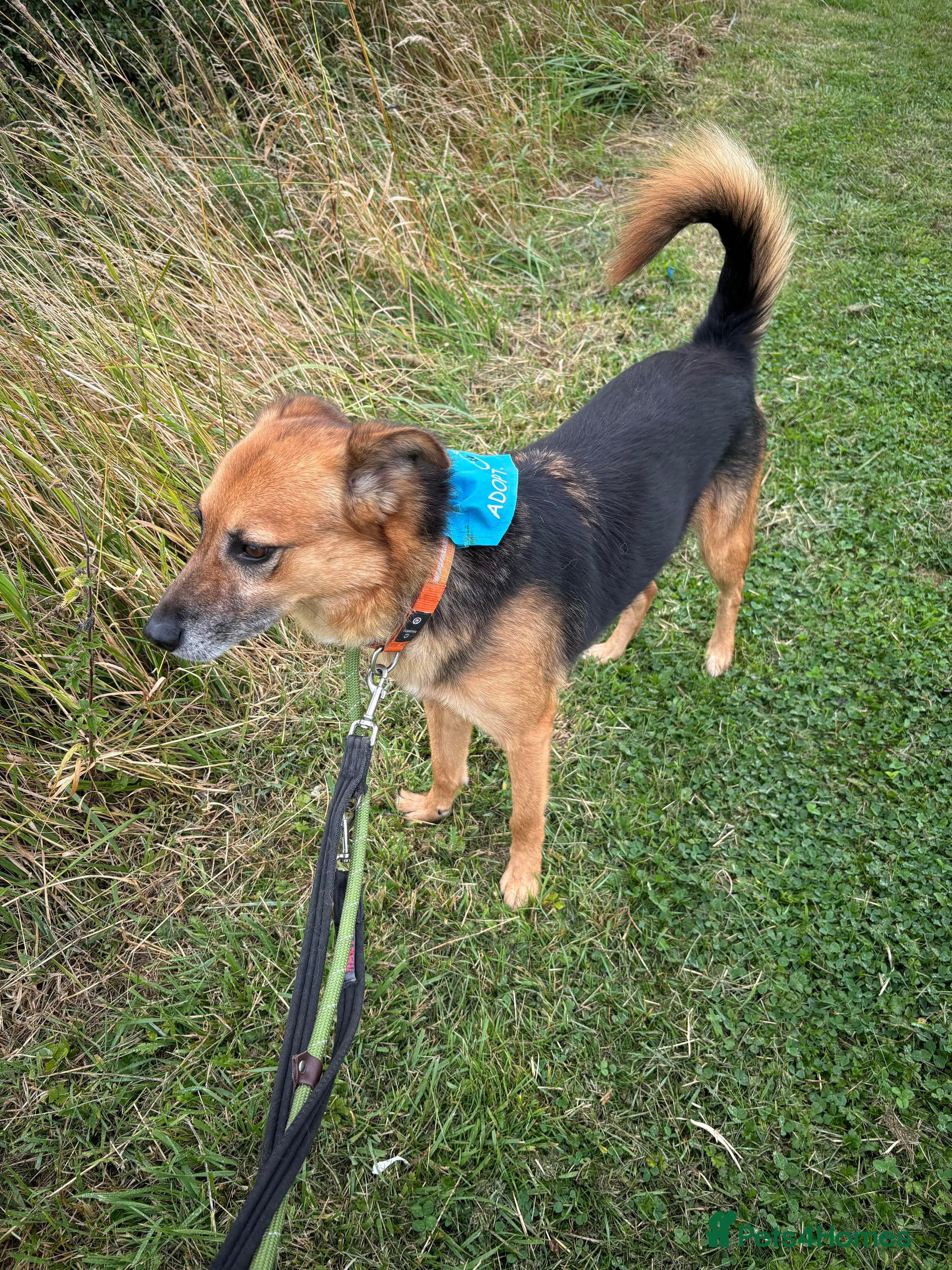 Meet Star, currently residing in Cheshire photo 15