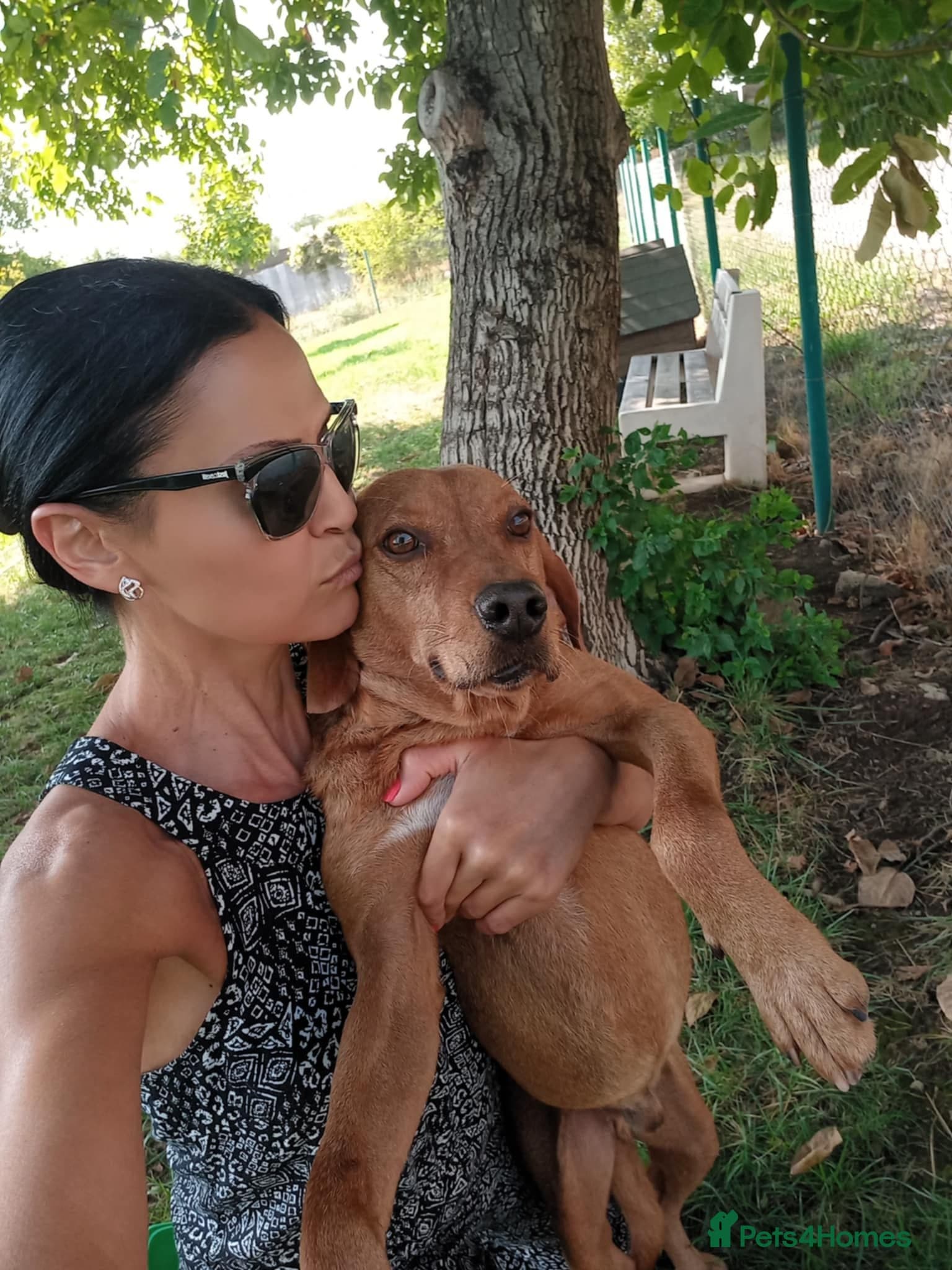 Beanie Boy, 3-4 yrs old. photo 3