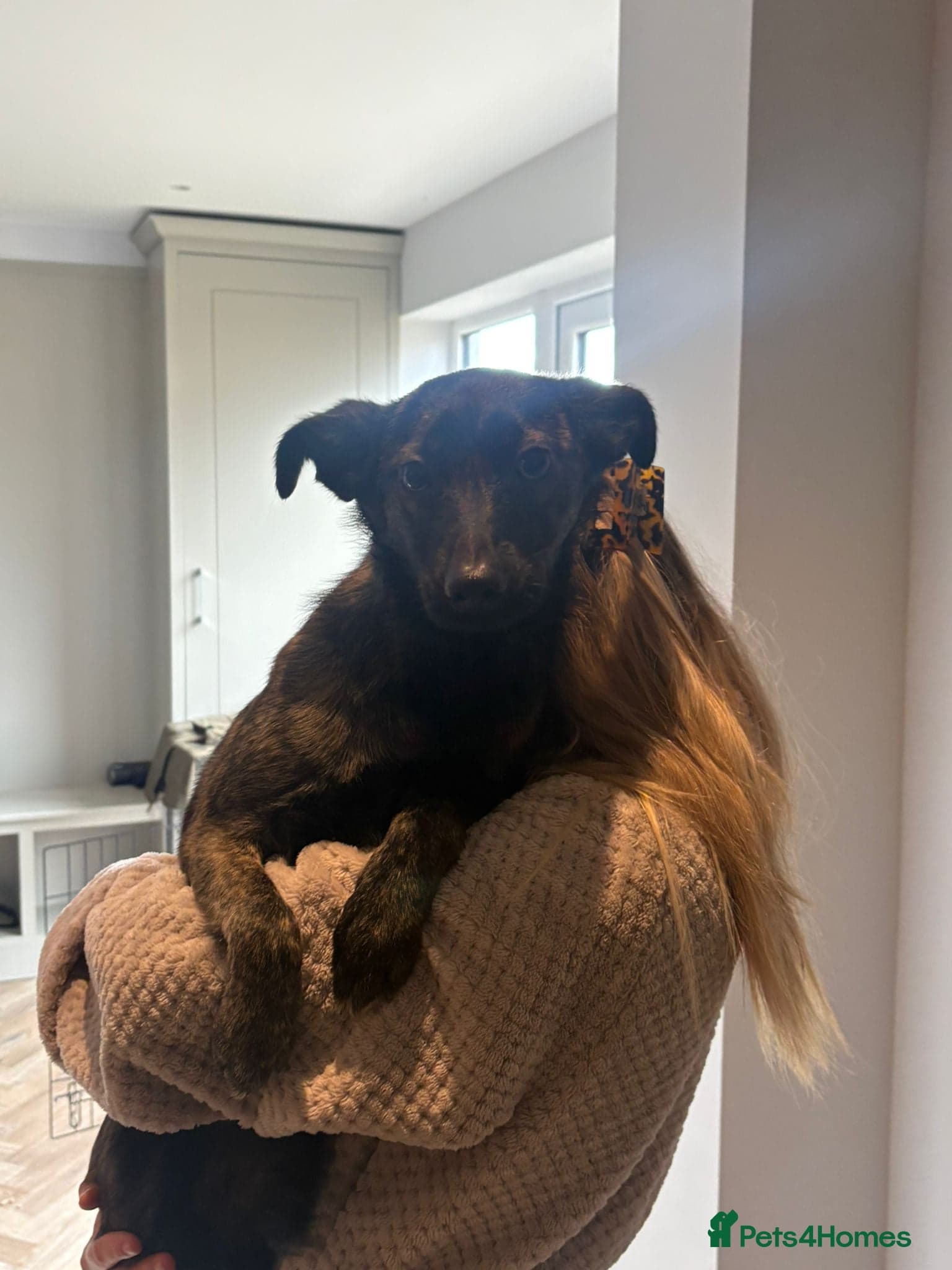 Urgent: ๐milo๐ photo 7