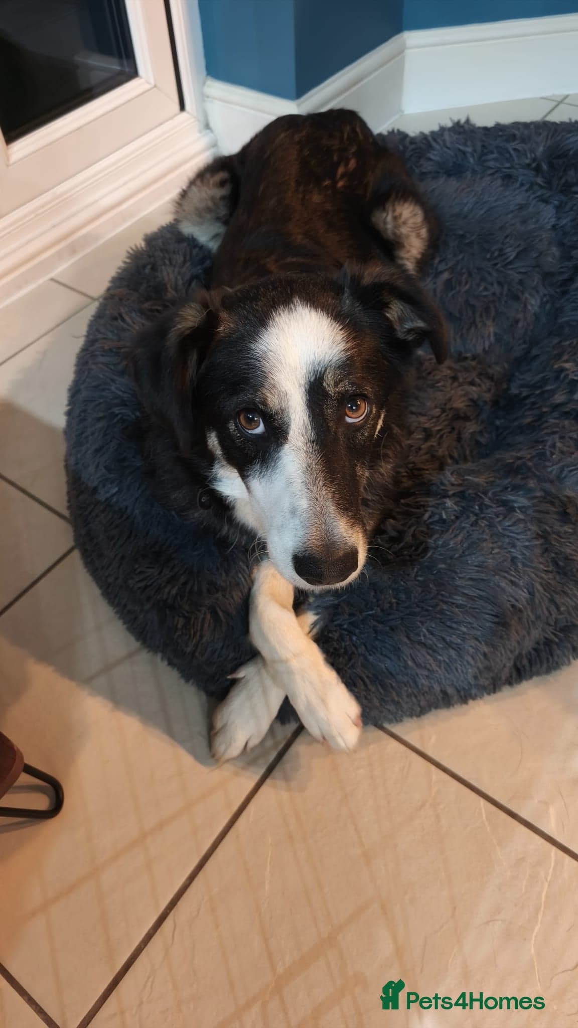 MAXπ Let Down But Still Loving photo 15