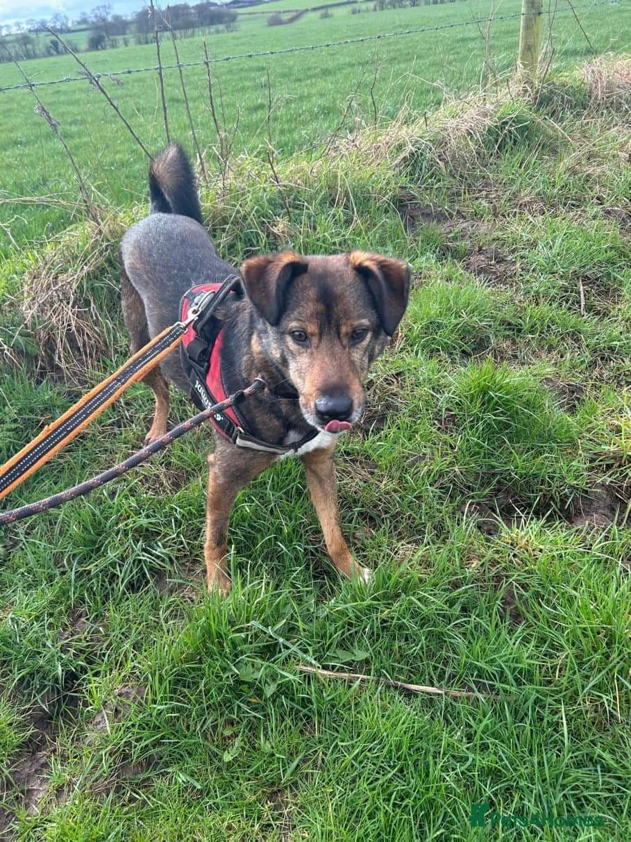 Meet Jake, currently residing in Cheshire photo 17