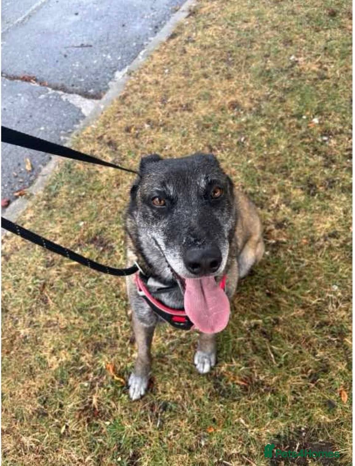 Meet Sasha, currently residing in Merseyside photo 7