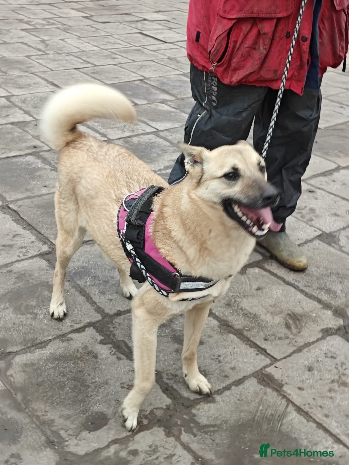 ๏ธ๐ถ stacy photo 25