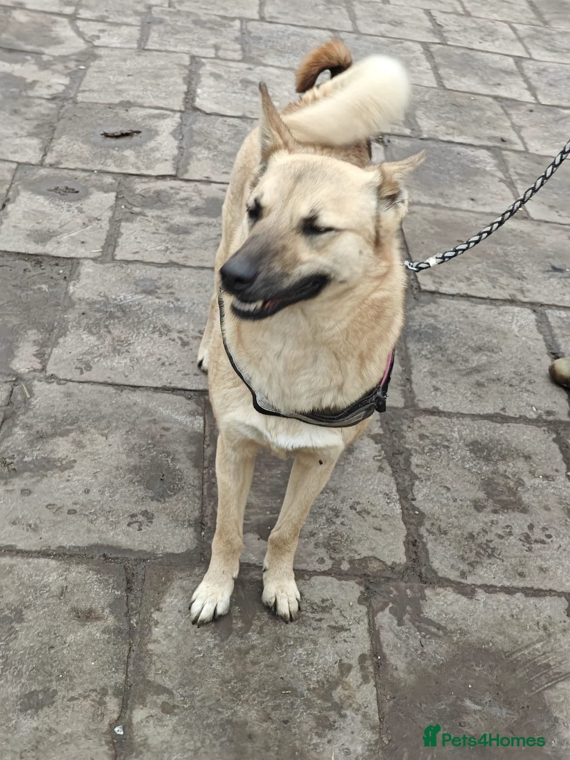 ๏ธ๐ถ stacy photo 17