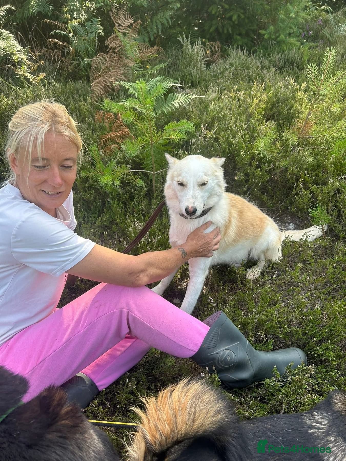 Song - Norwich Norfolk photo 17