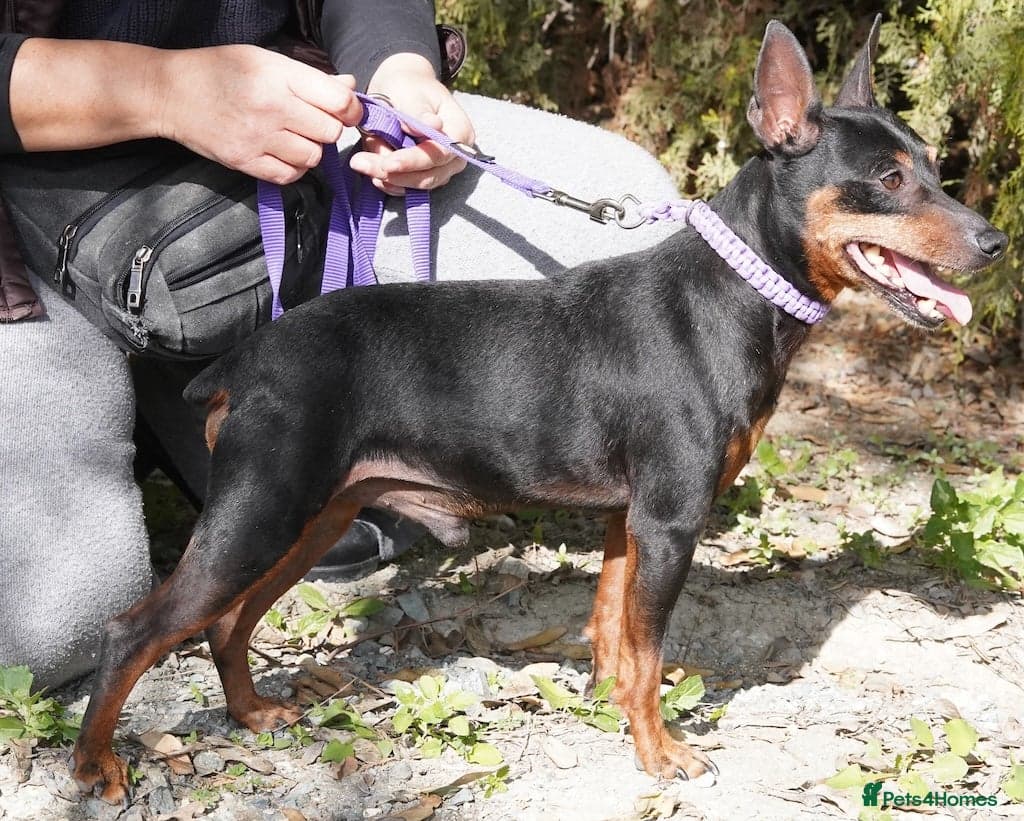 Benetton, a cuddlebug photo 12