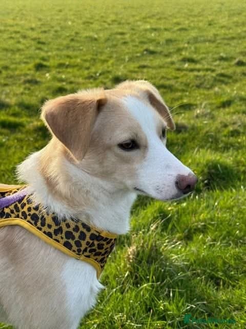 Meet Raquel, currently residing in Burnley photo 4