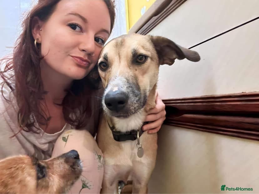 Sara - Norwich Norfolk photo 28