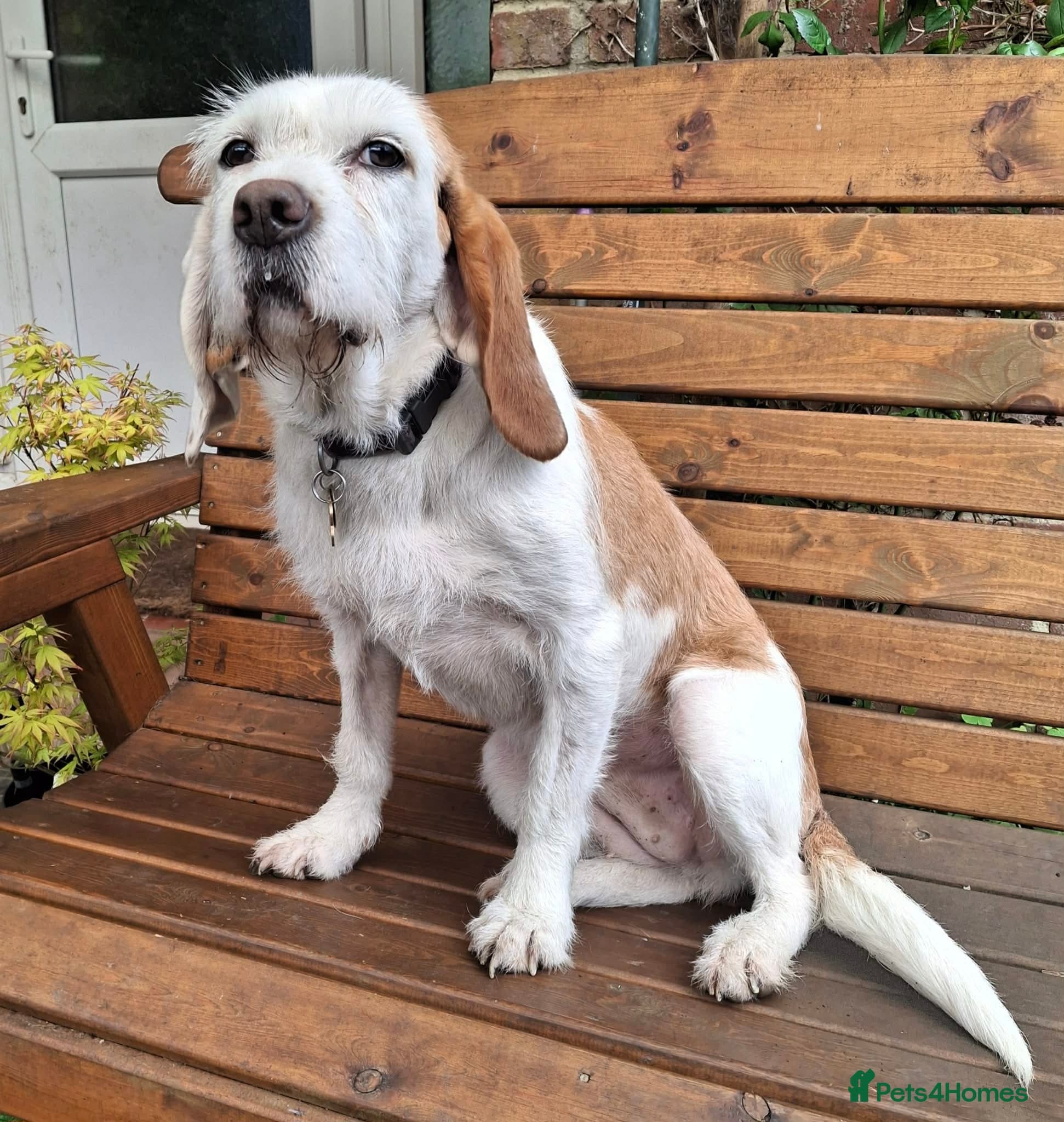 Lovely Dulce photo 2