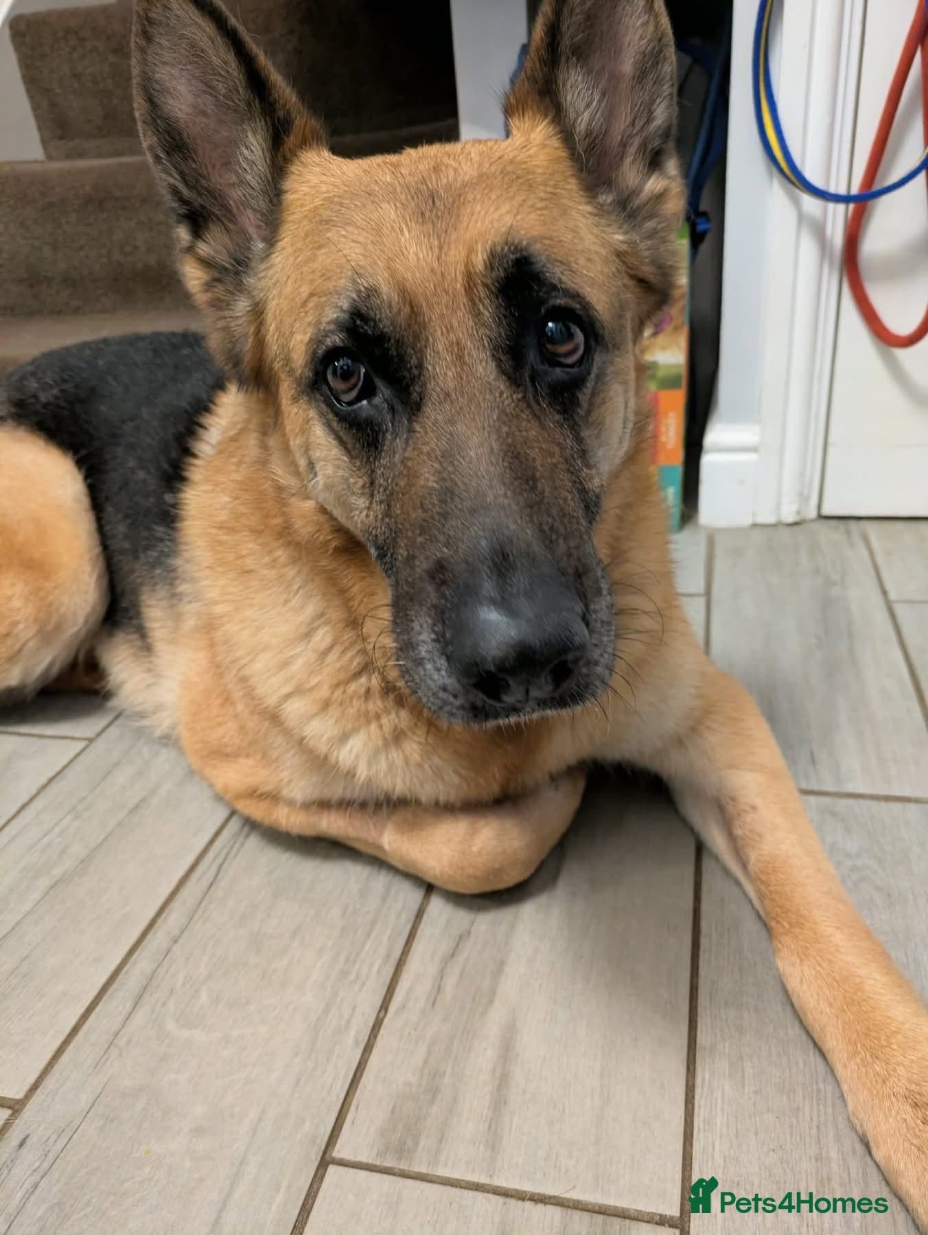 Amy - Norwich Norfolk photo 4