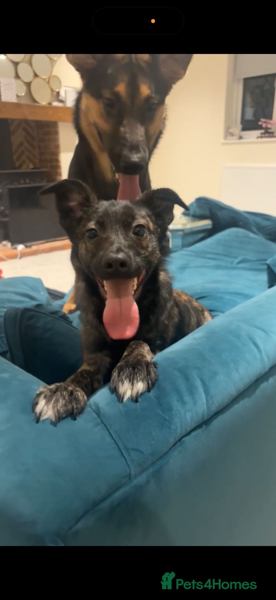 Urgent: ๐milo๐ photo 3