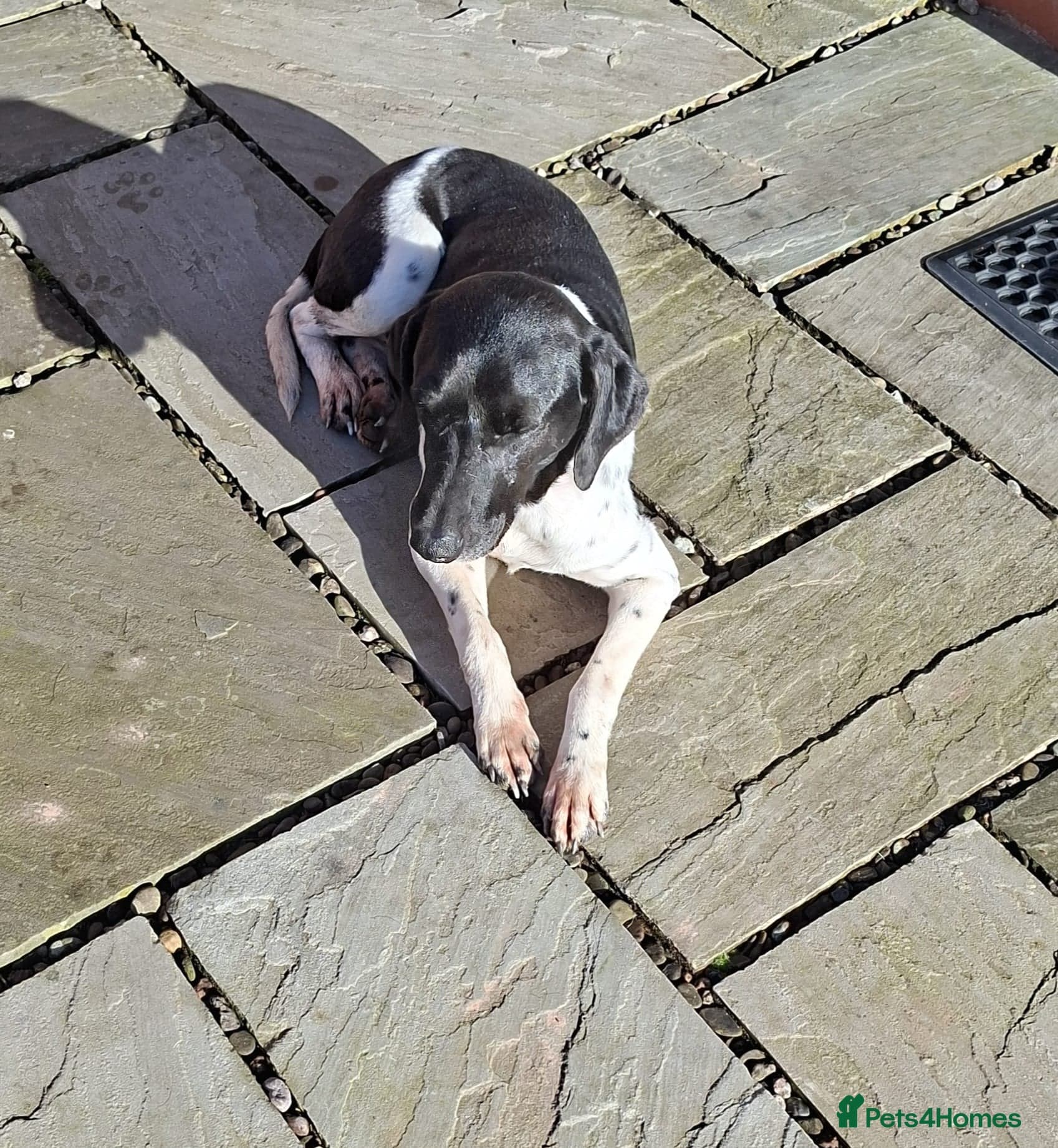 Stratos ! ❤️ a Cypriot sweetheart photo 16