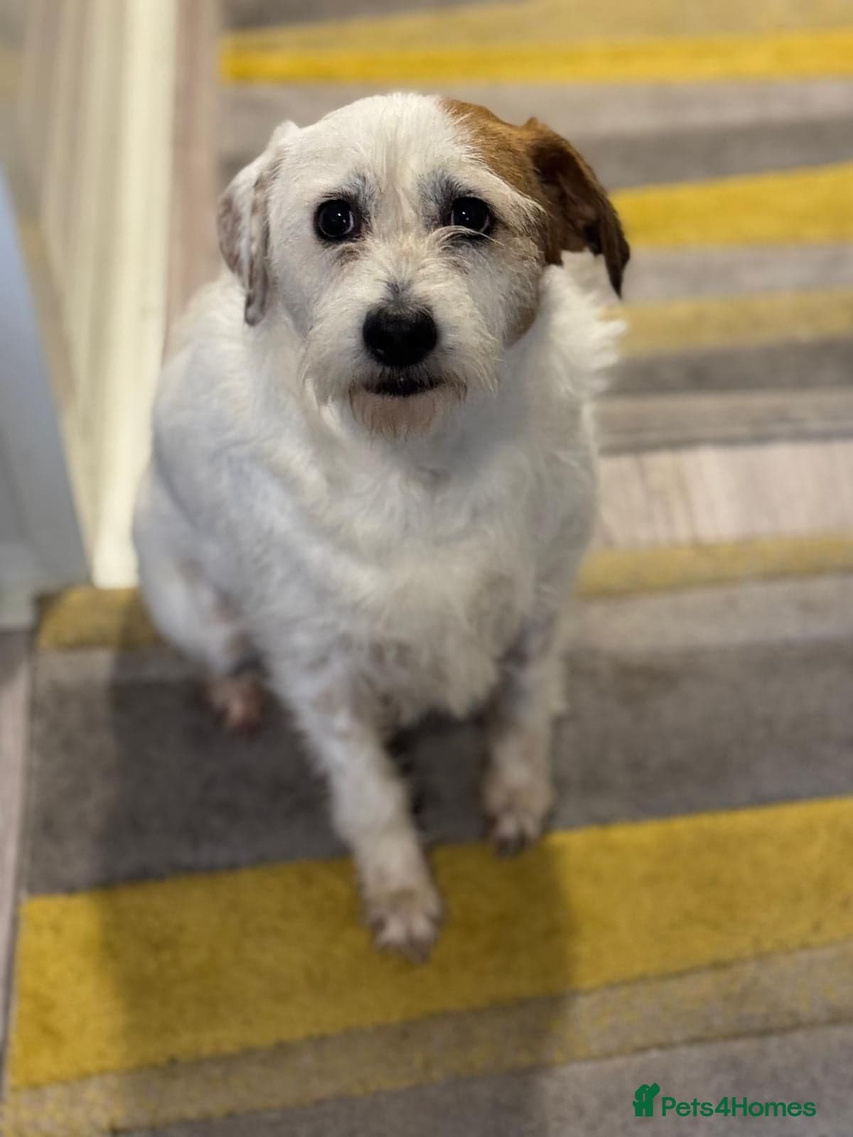 Cute girl Pepsi photo 7