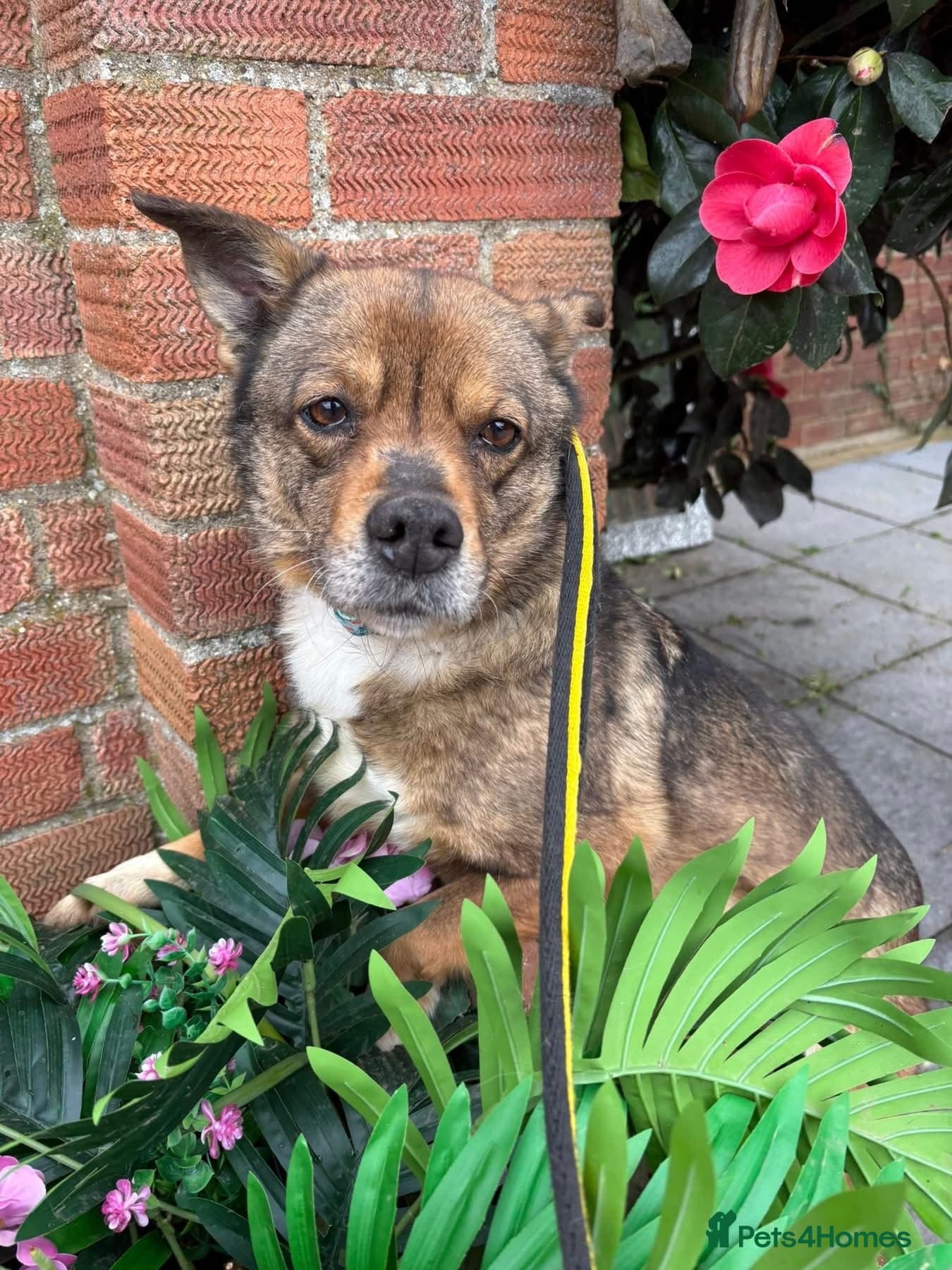 Erica - Norwich Norfolk photo 12