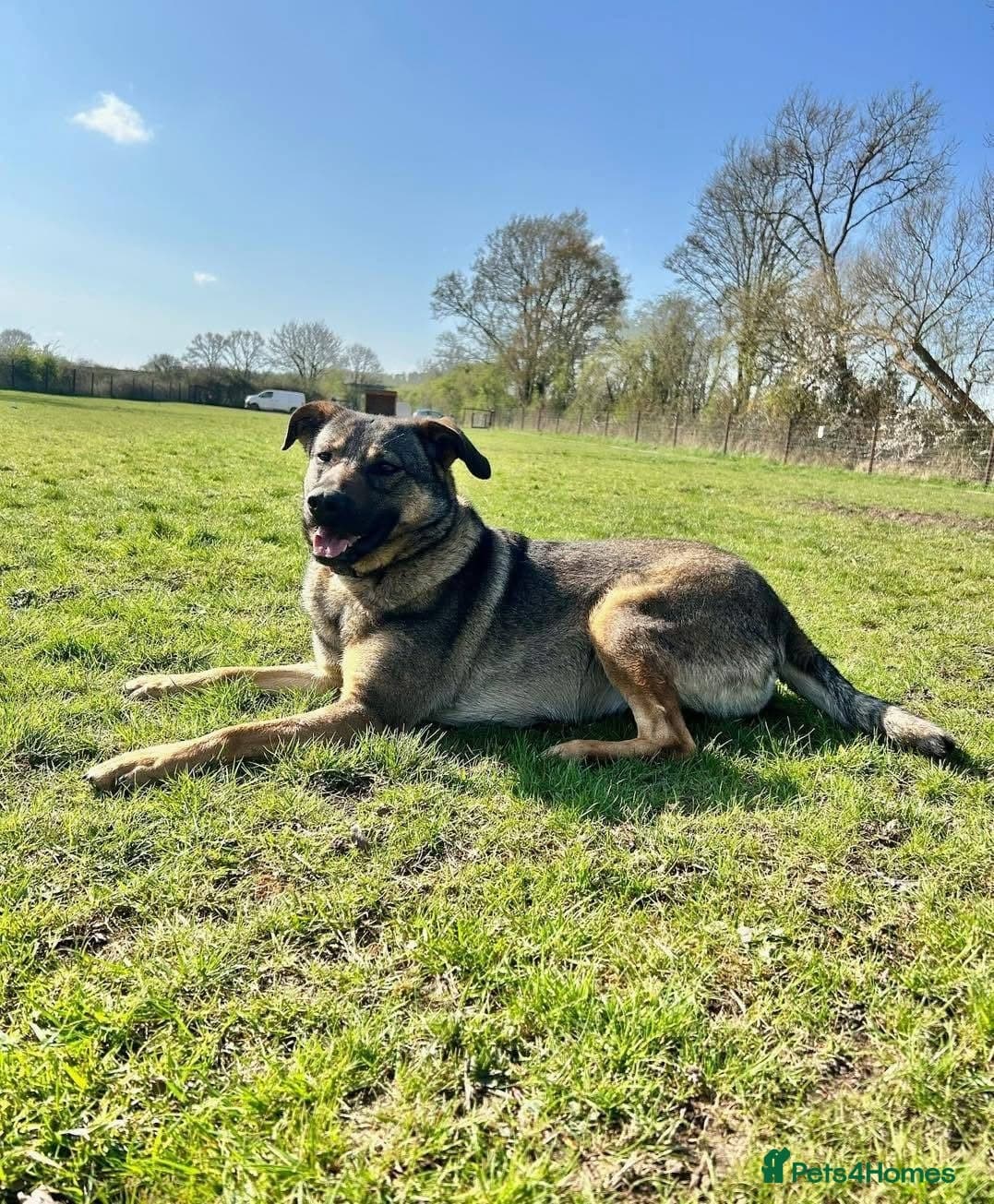 Luna πΎπ photo 21