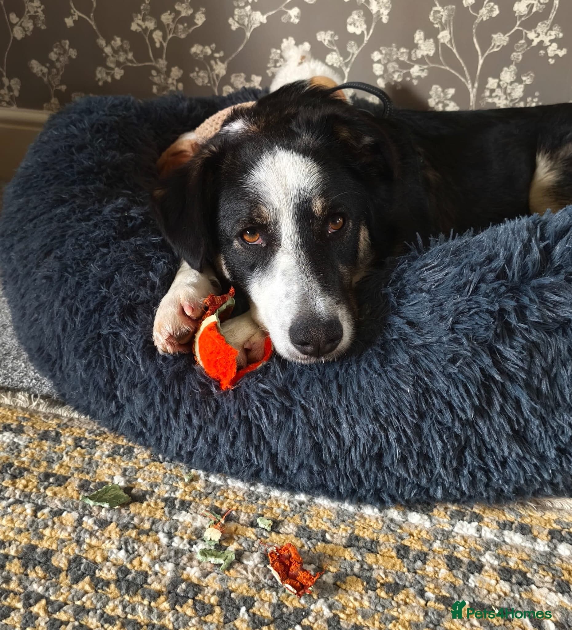 MAXπ Let Down But Still Loving photo 16